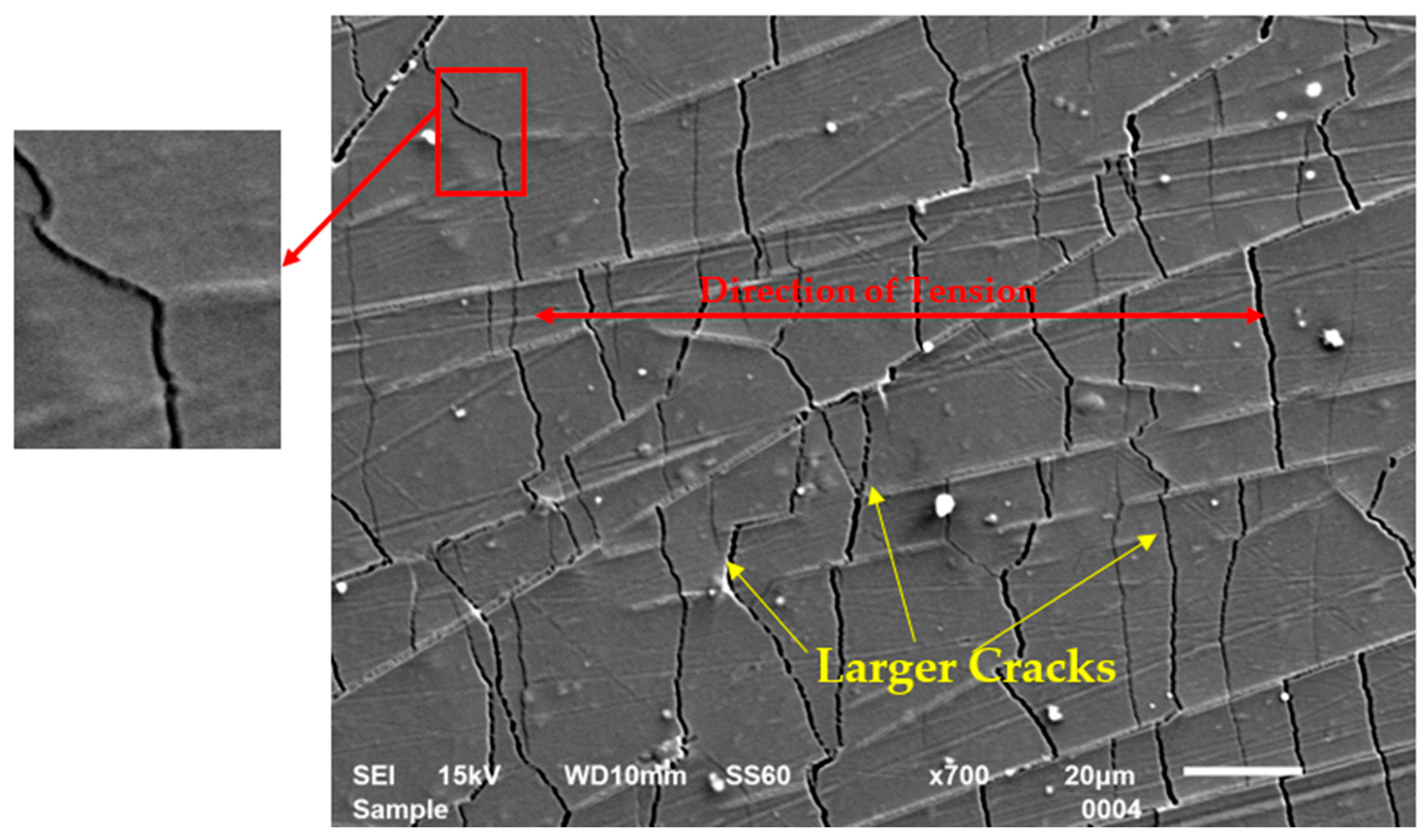 Coatings 14 01403 g003