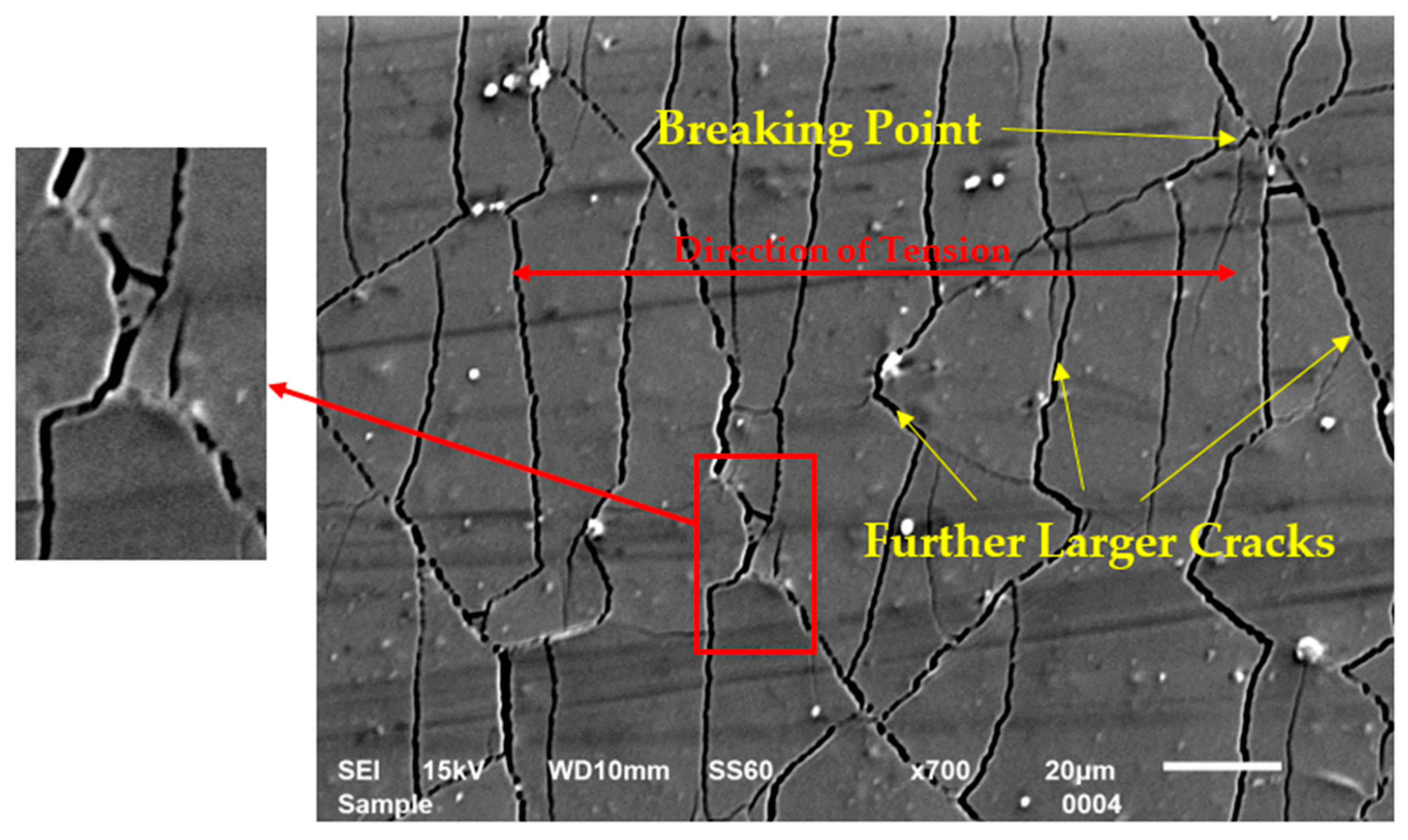 Coatings 14 01403 g004