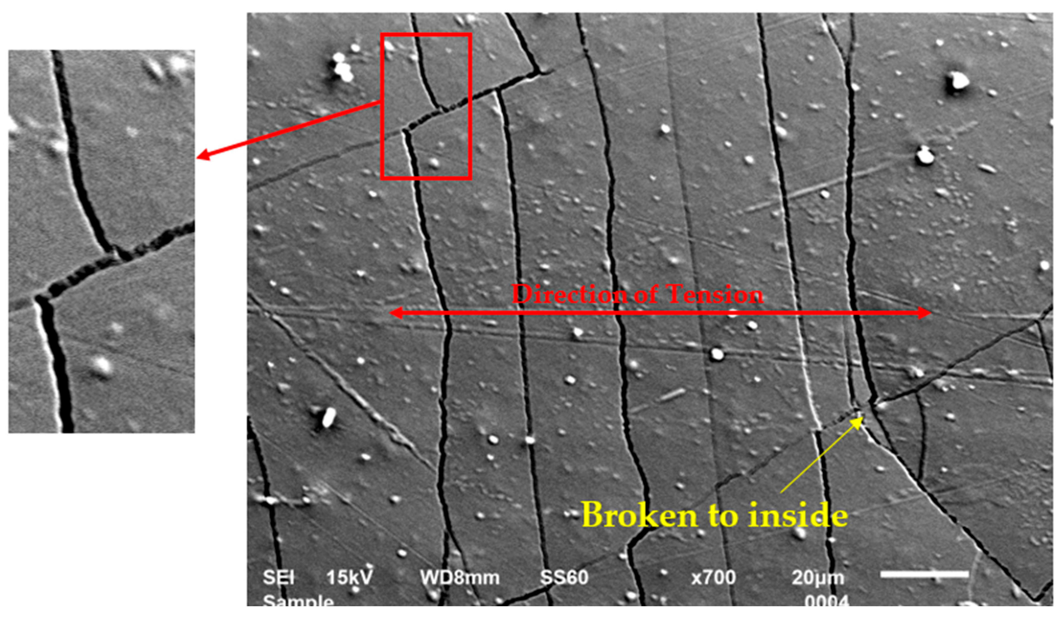 Coatings 14 01403 g006