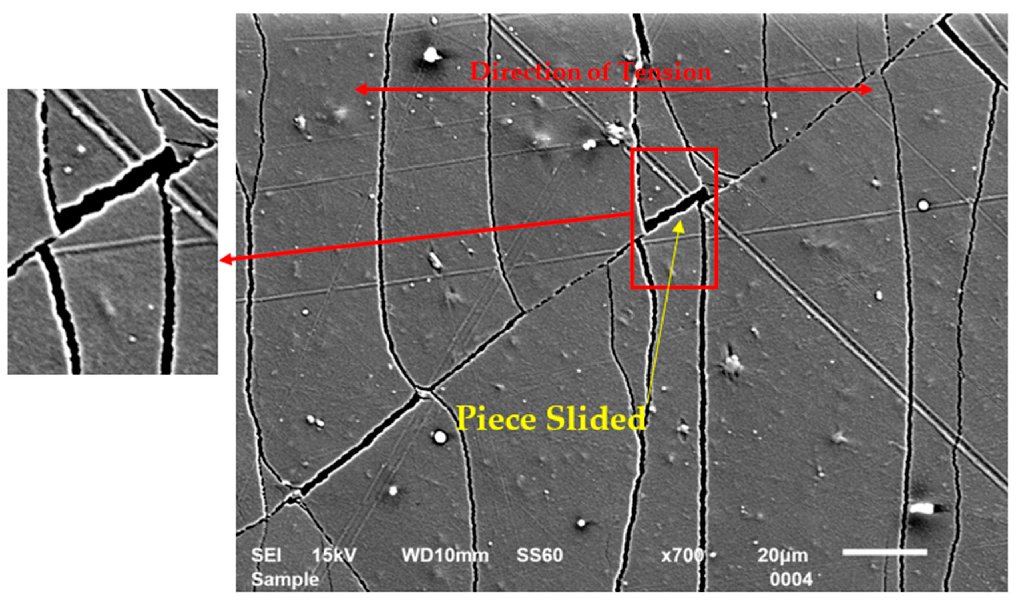 Coatings 14 01403 g007