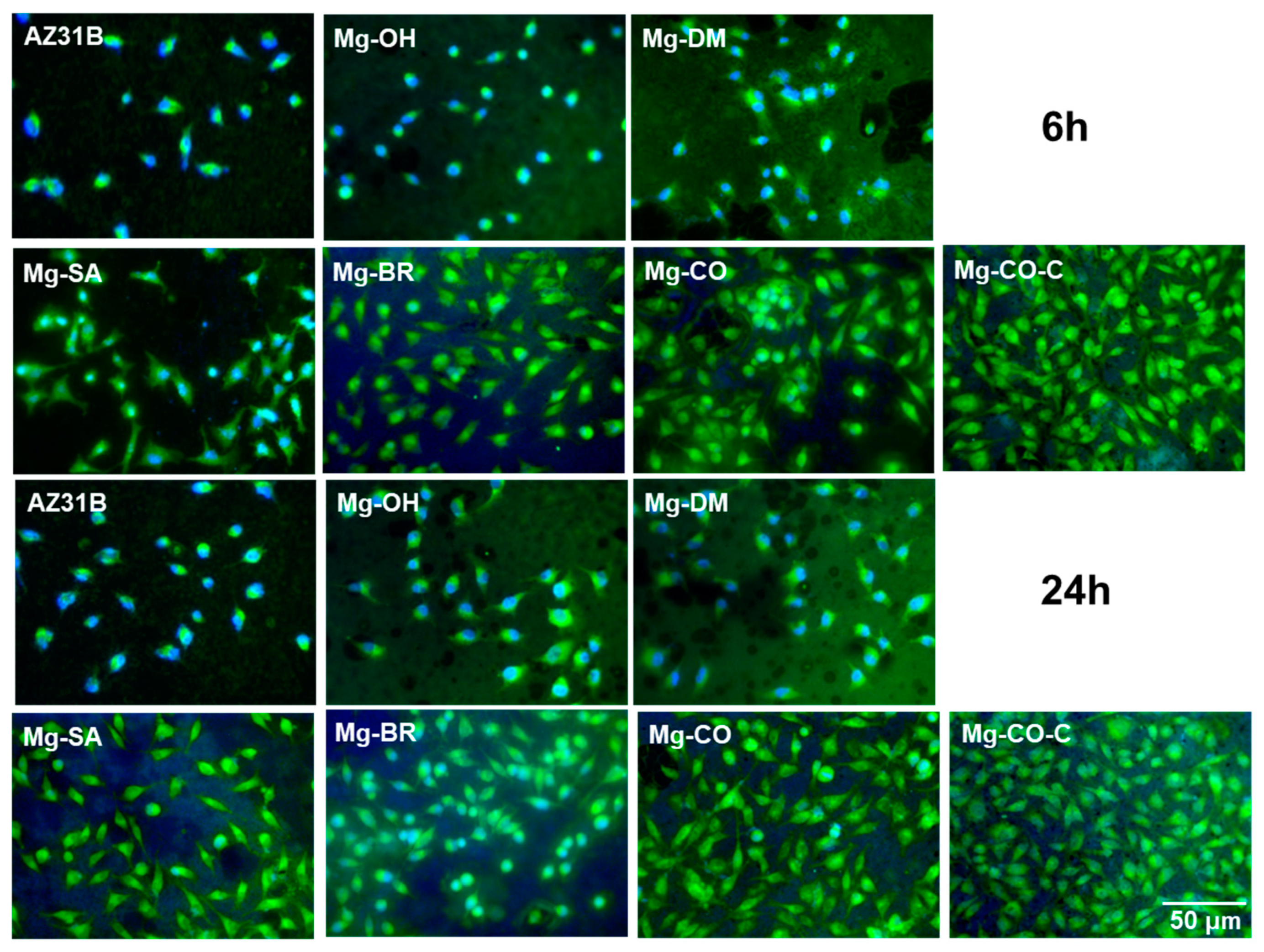 Coatings 14 01418 g009