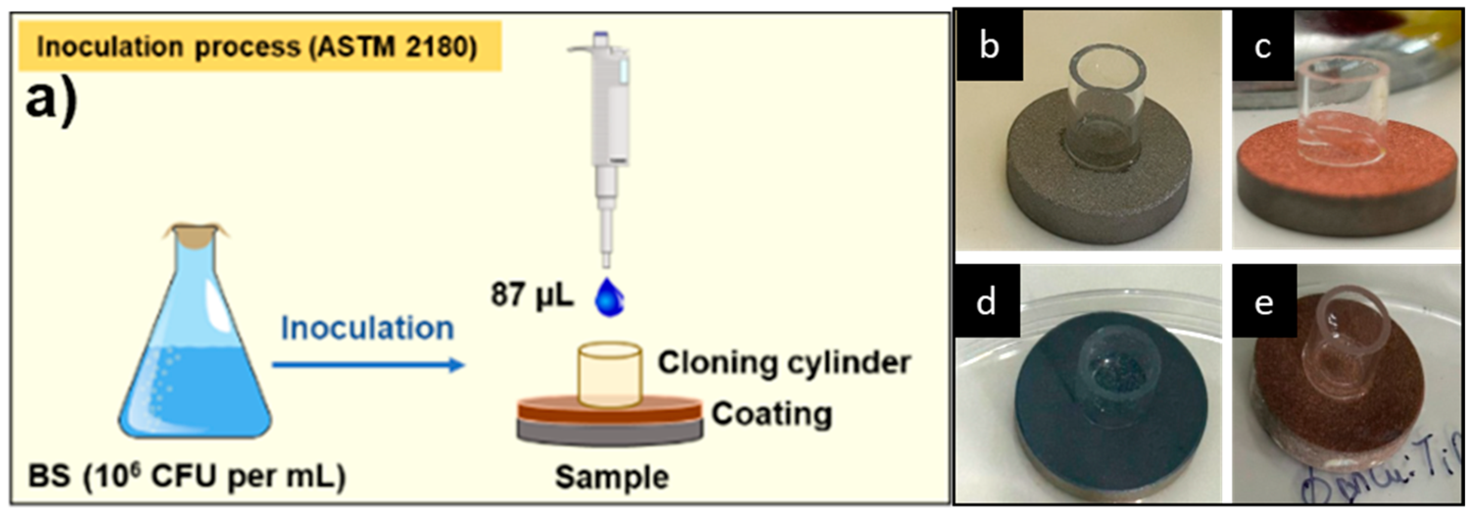 Coatings 14 01426 g002