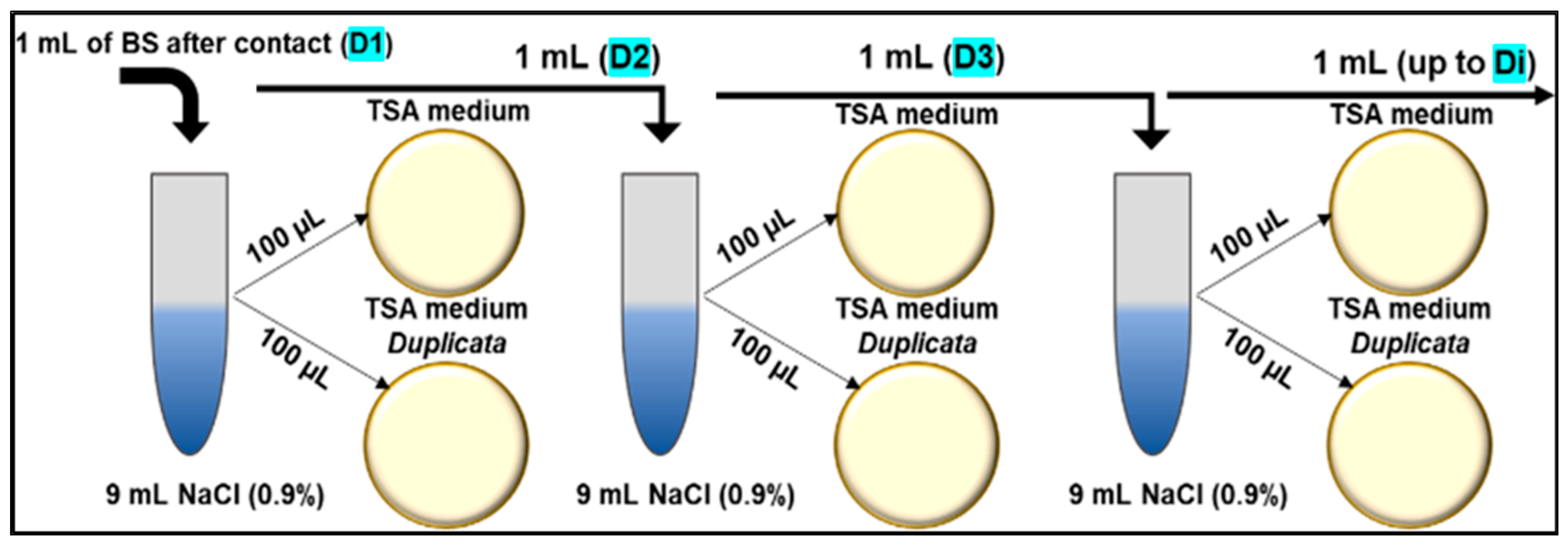 Coatings 14 01426 g003