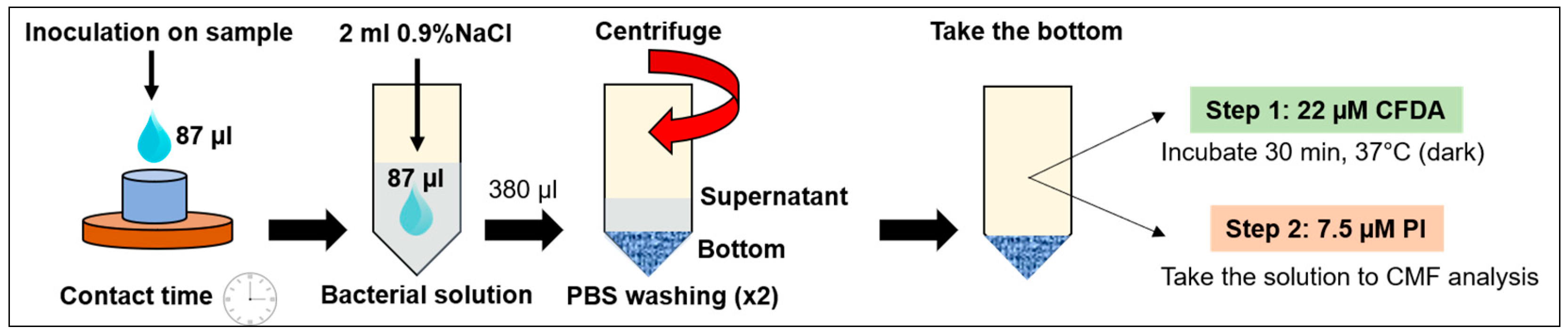 Coatings 14 01426 g004