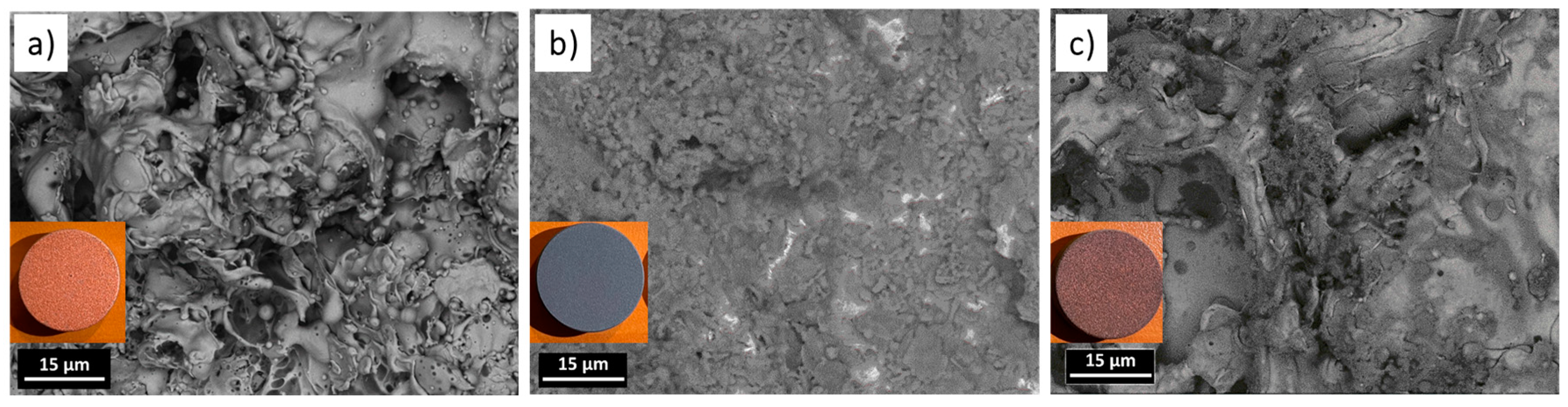 Coatings 14 01426 g007