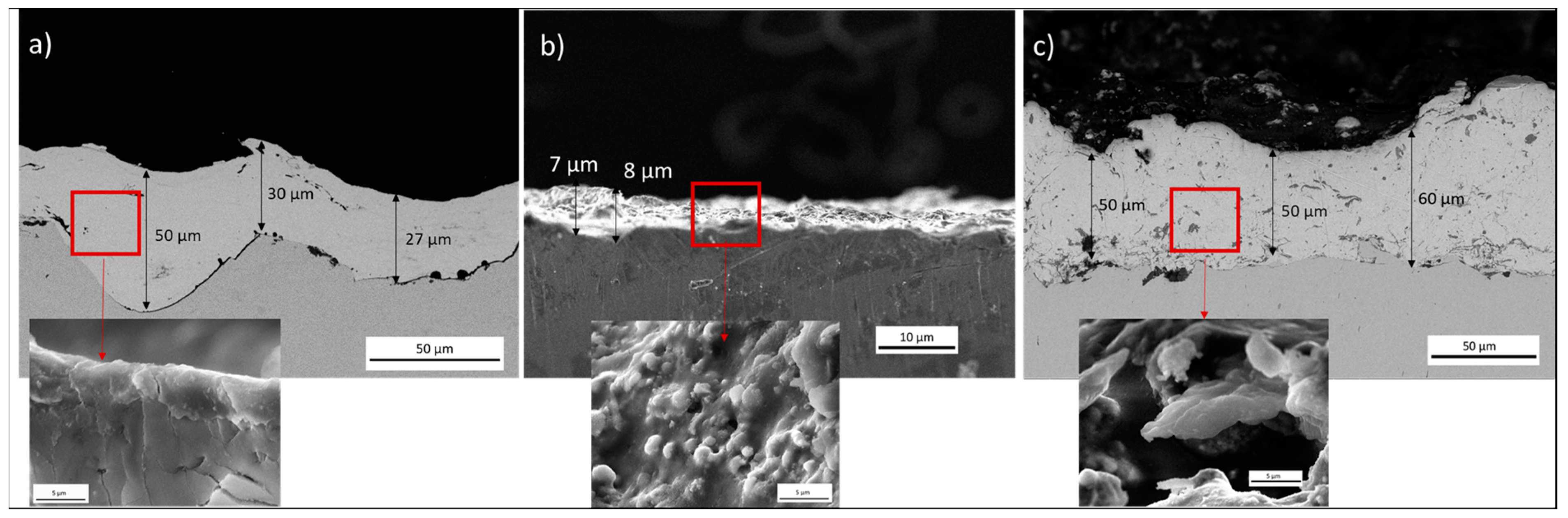 Coatings 14 01426 g011