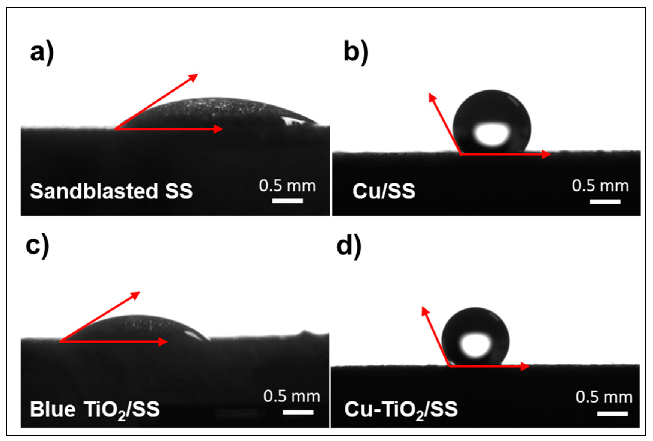 Coatings 14 01426 g012
