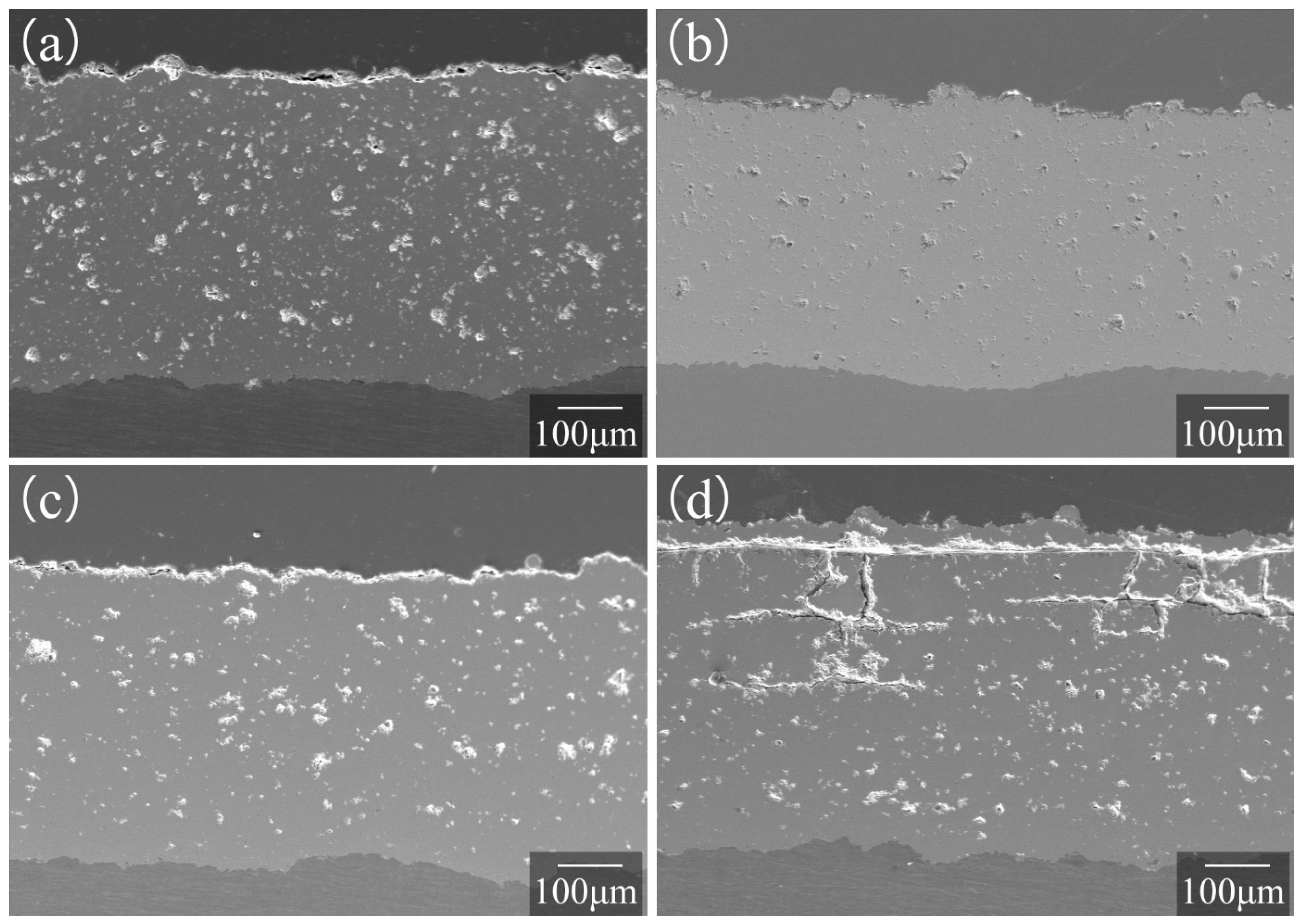 Coatings 14 01427 g002