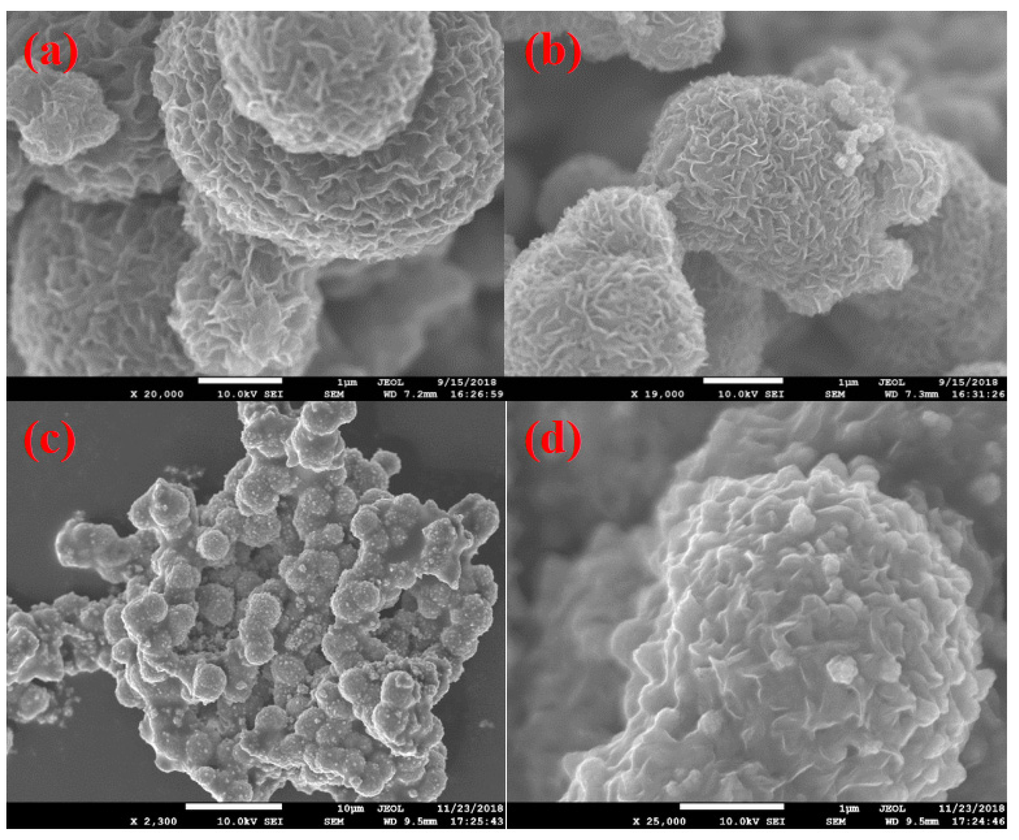 Coatings 14 01438 g003