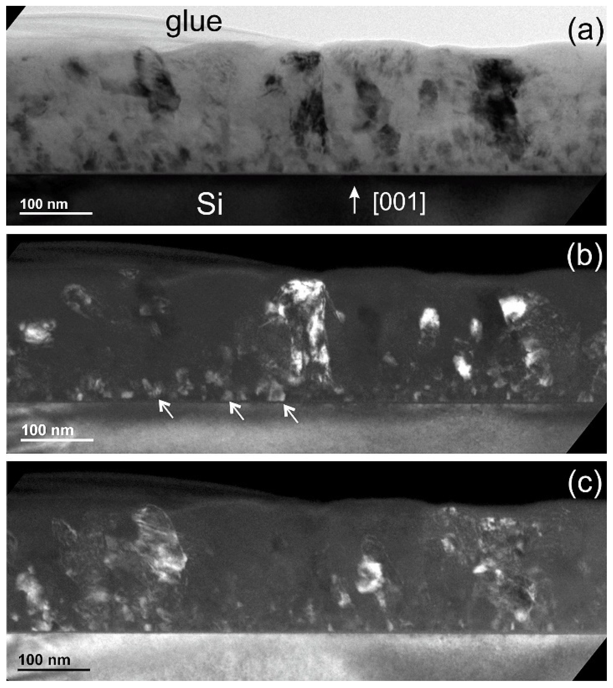 Coatings 14 01441 g008 Coatings 14 01441 g008
