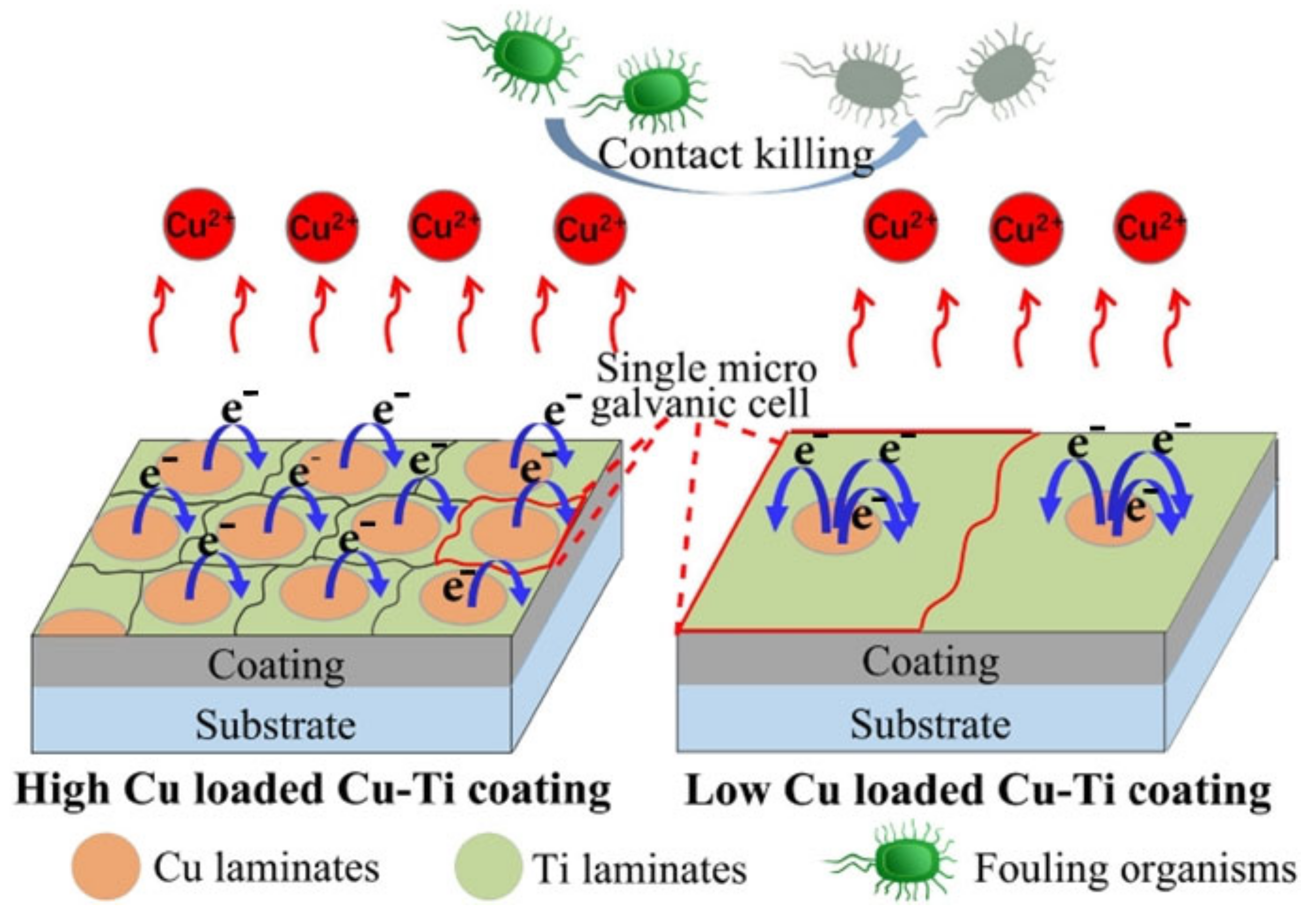 Coatings 14 01454 g005