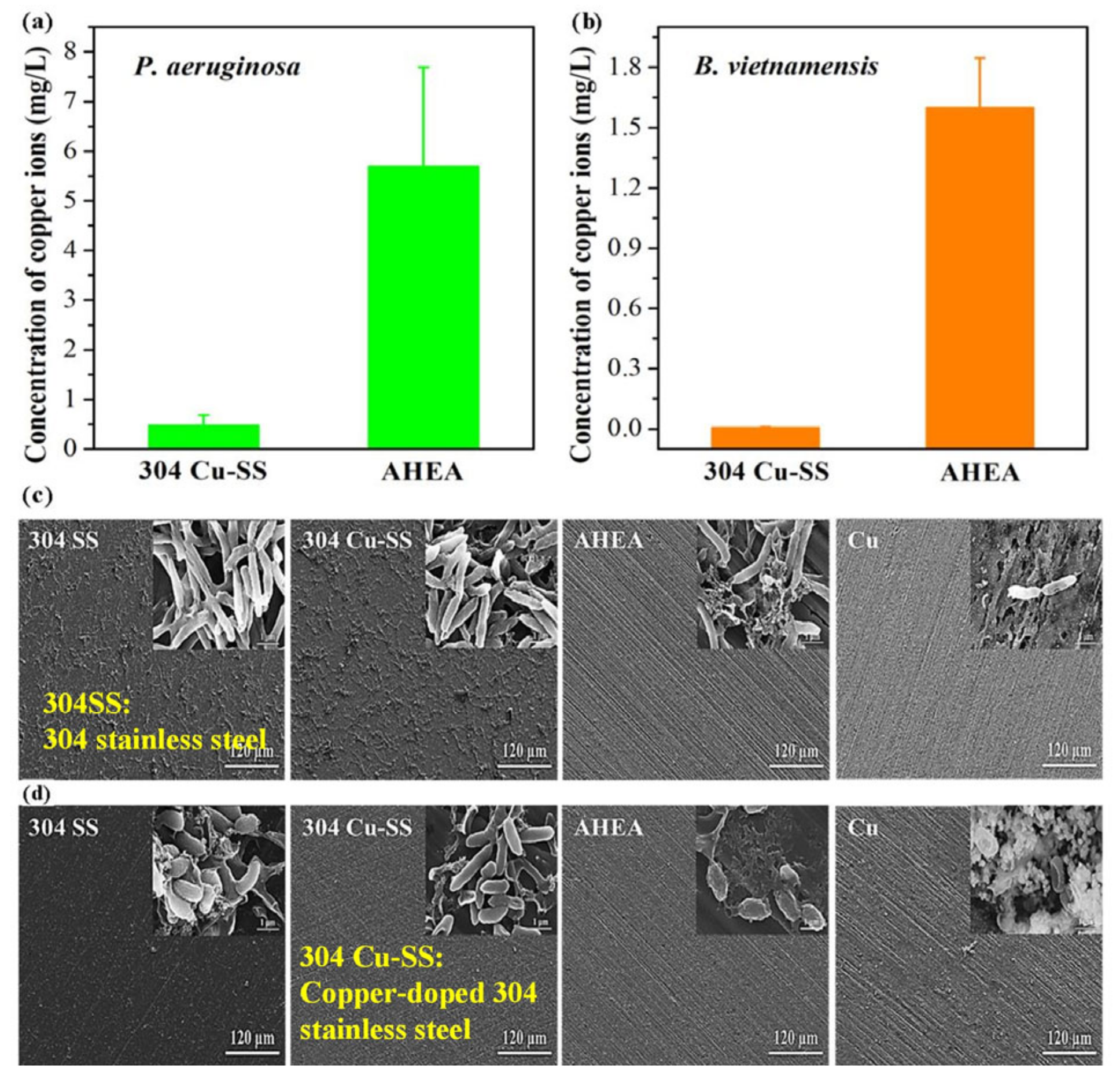 Coatings 14 01454 g006