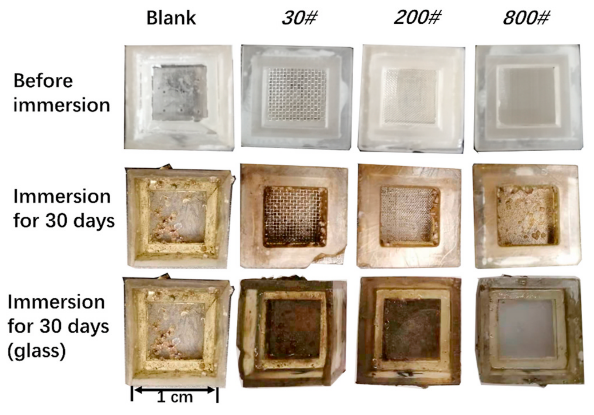 Coatings 14 01454 g010