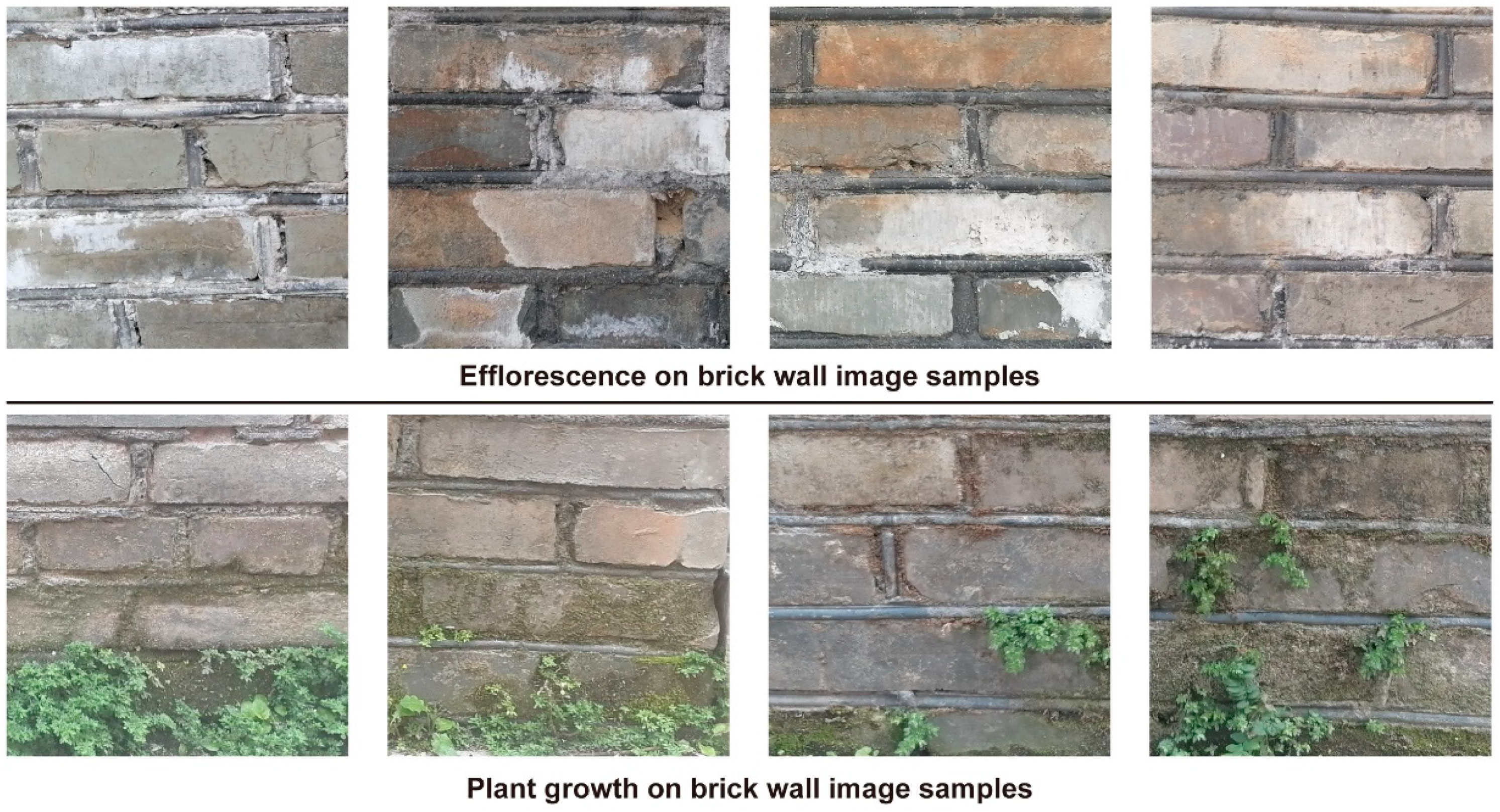 Coatings 14 01466 g015