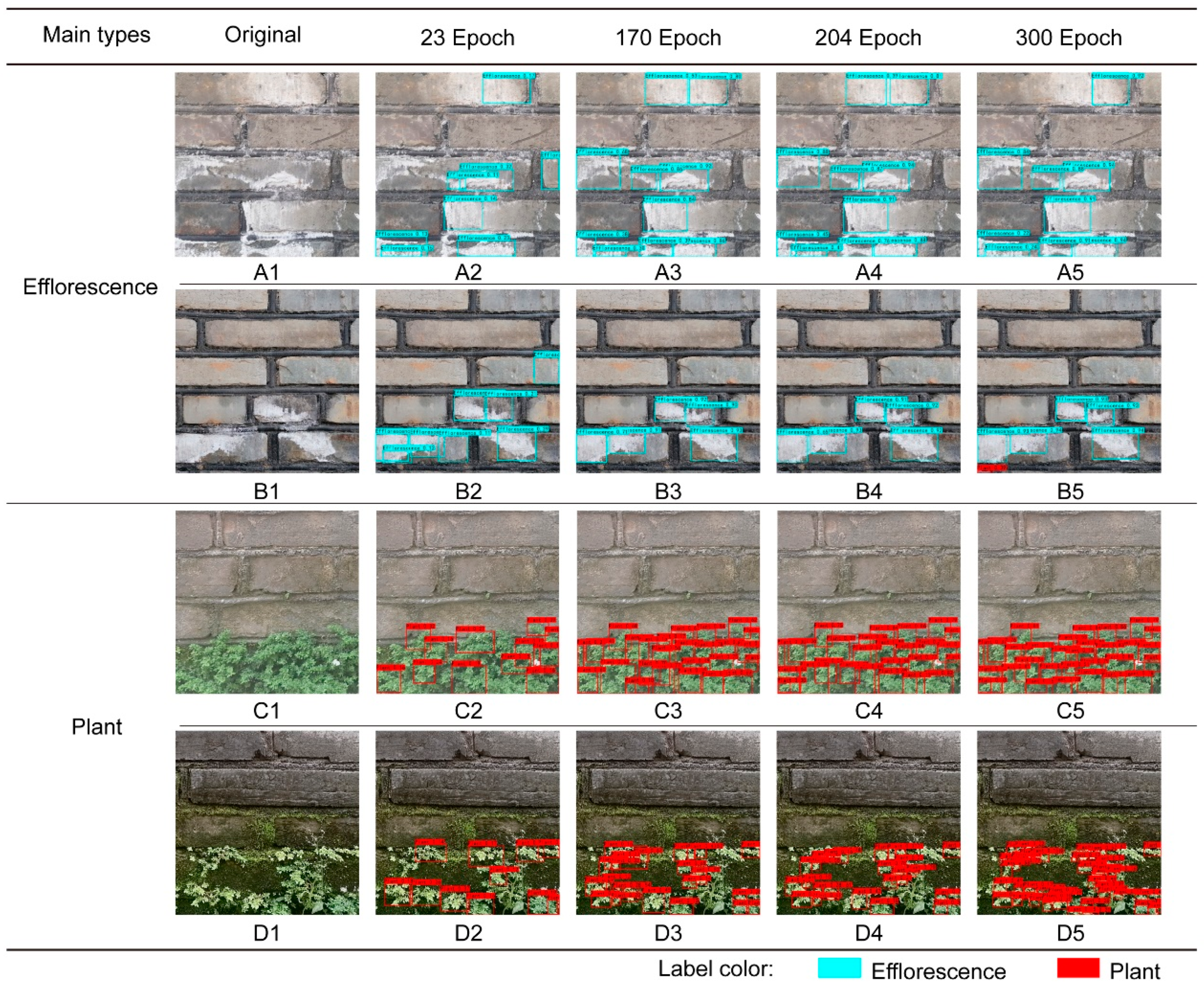 Coatings 14 01466 g023