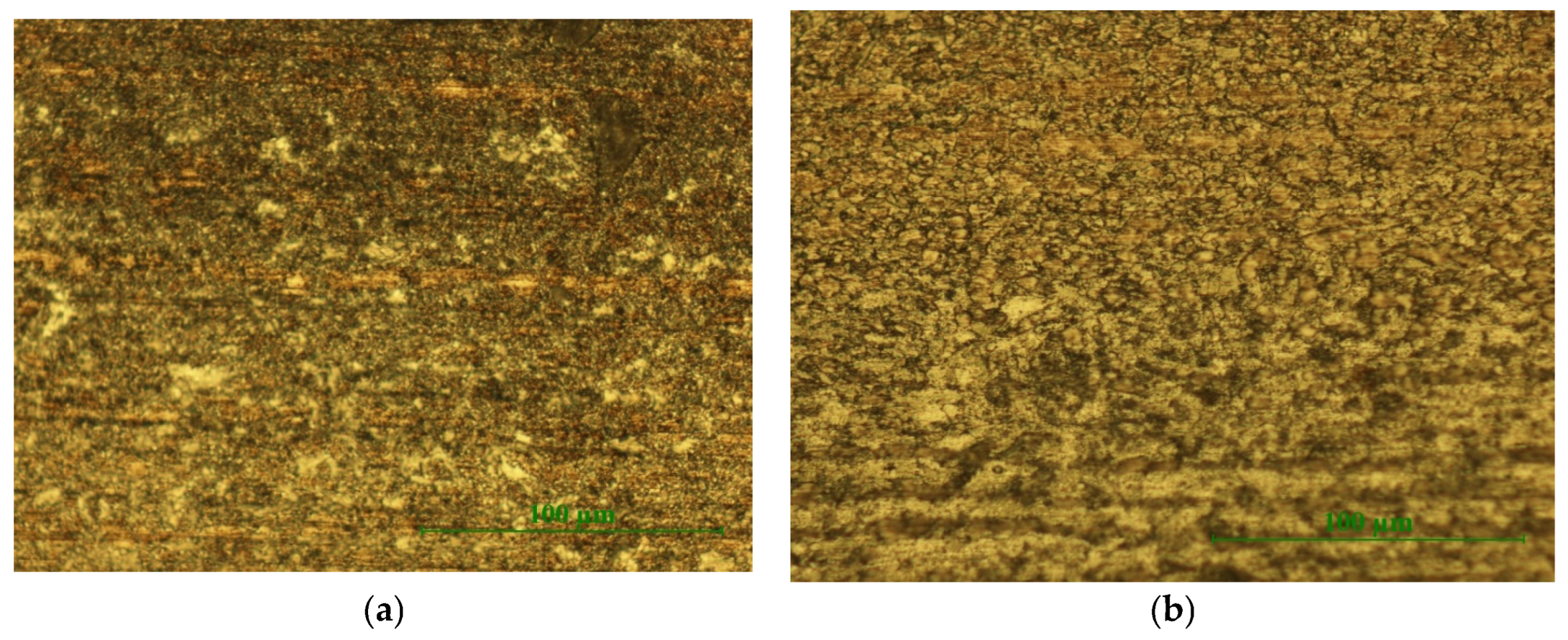 Coatings 14 01502 g008