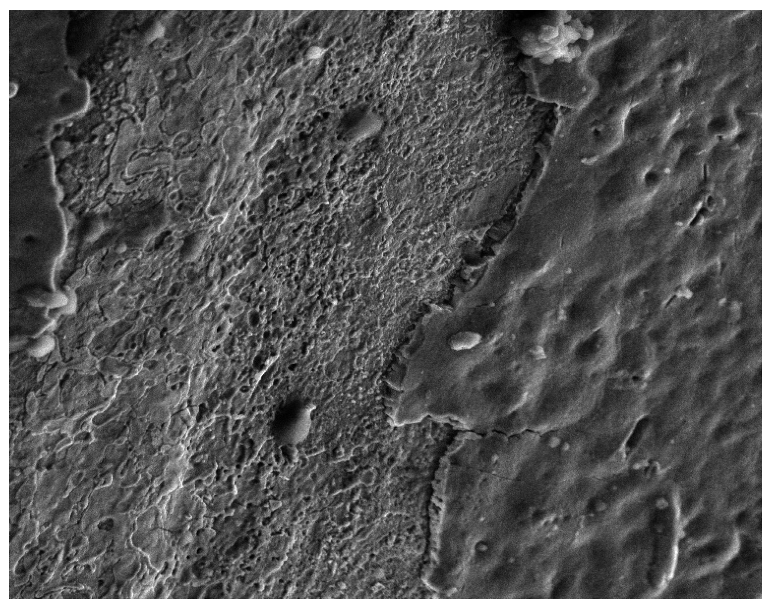 Coatings 14 01502 g011