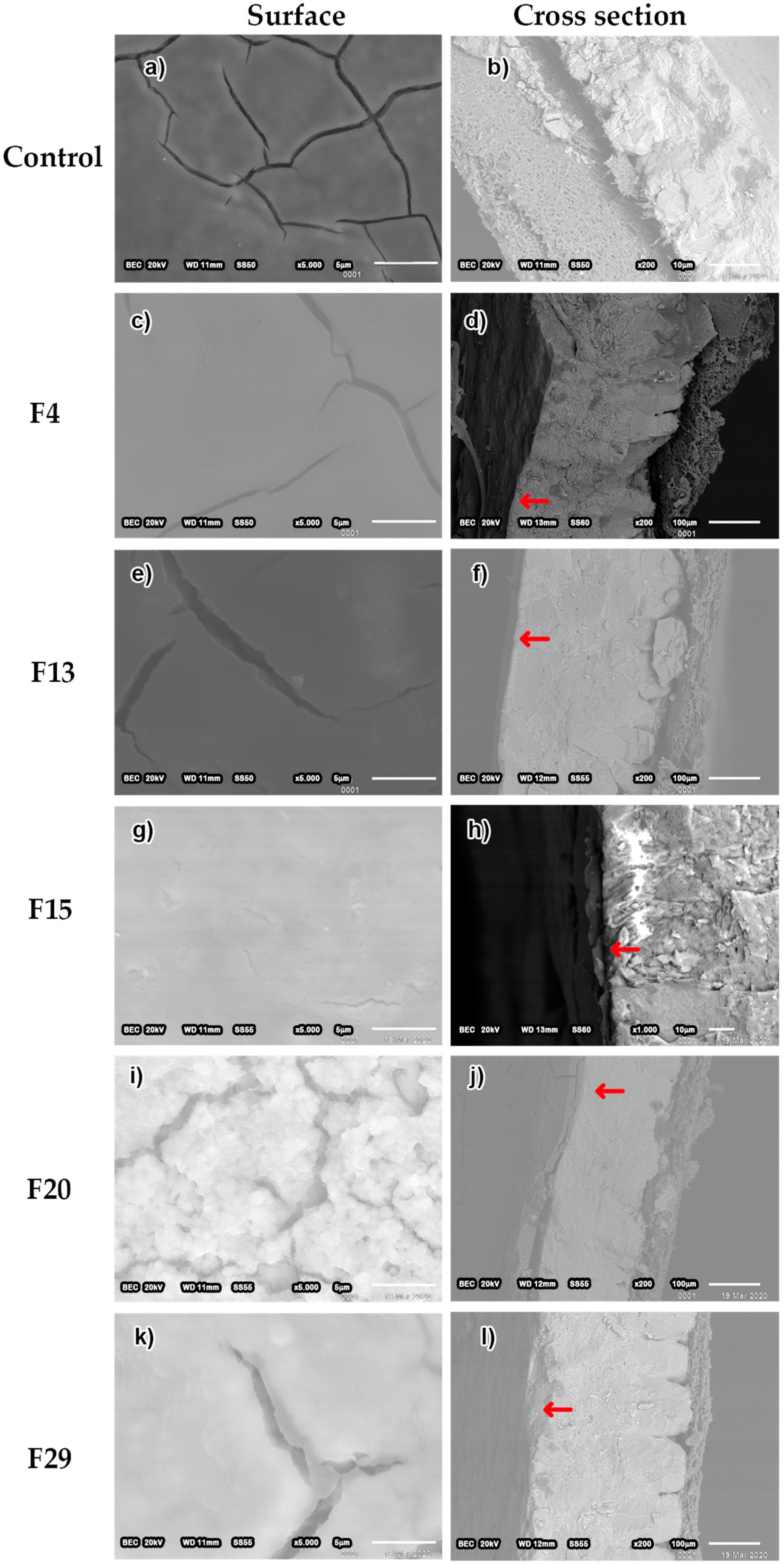 Coatings 14 01525 g004 Coatings 14 01525 g004