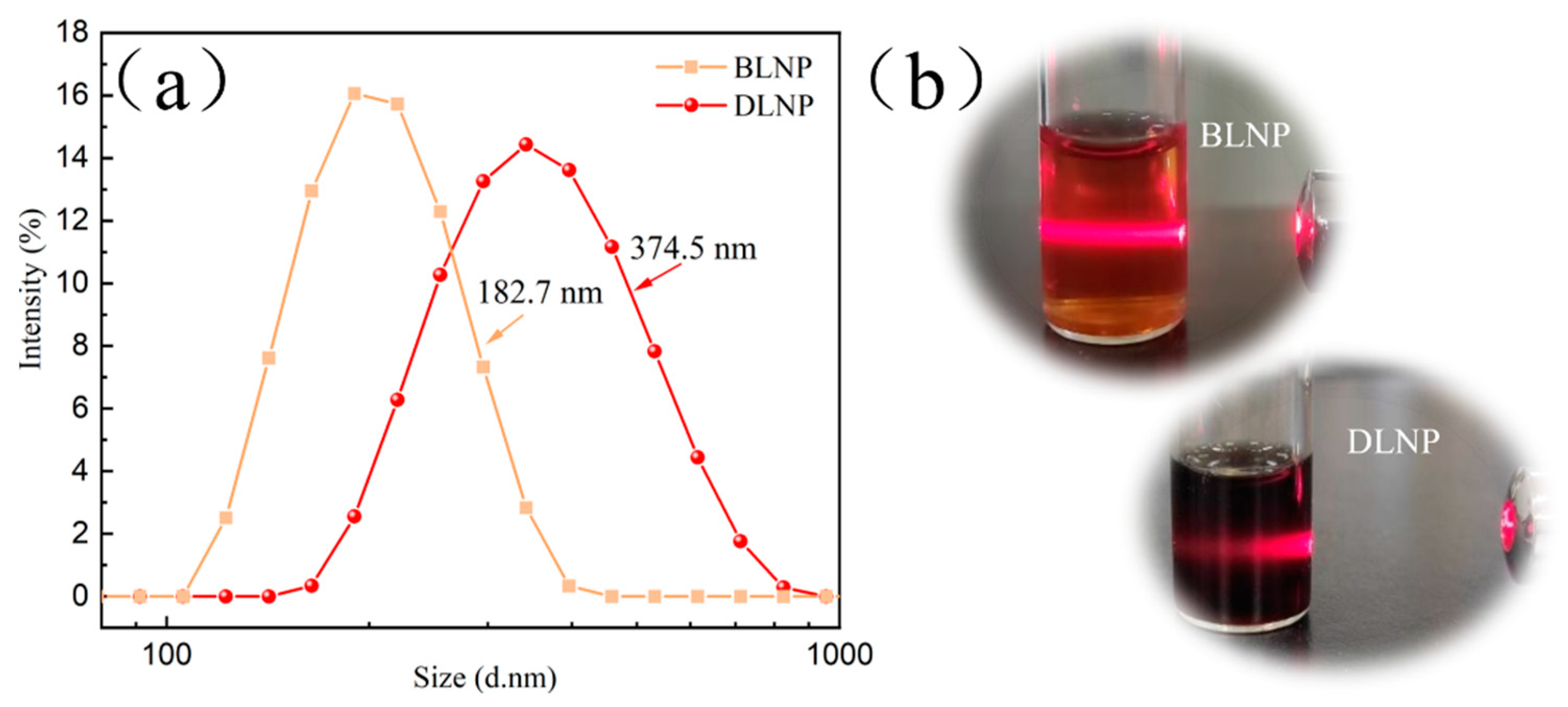 Coatings 14 01544 g002