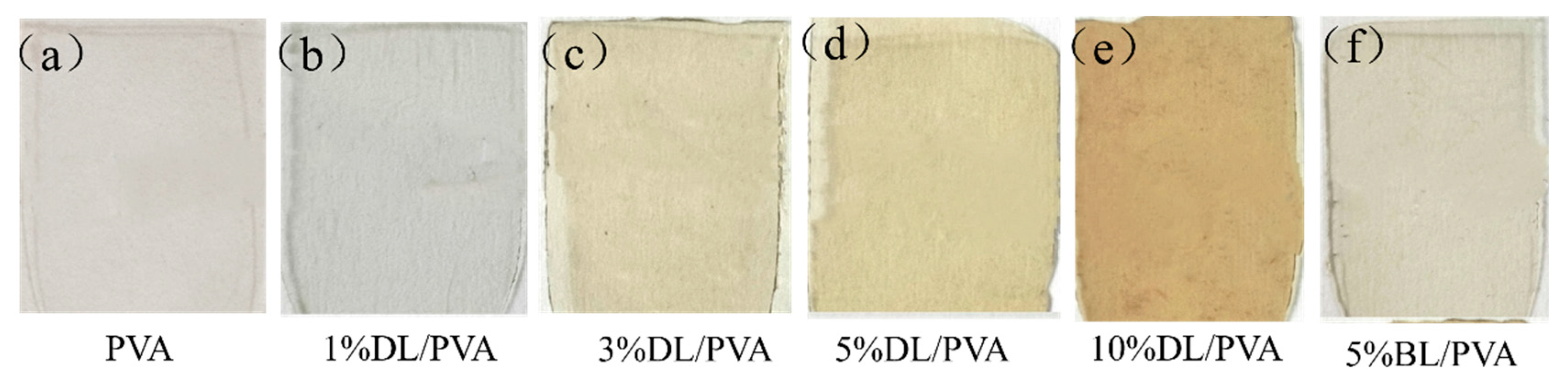 Coatings 14 01544 g007