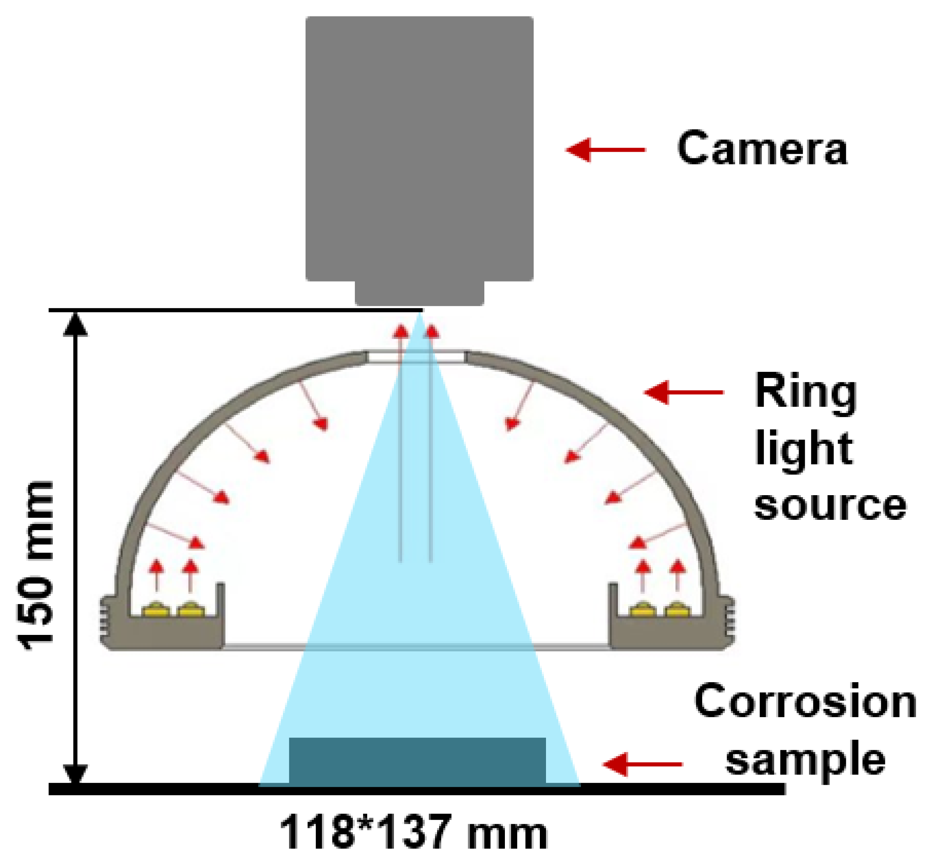 Coatings 14 01552 g002
