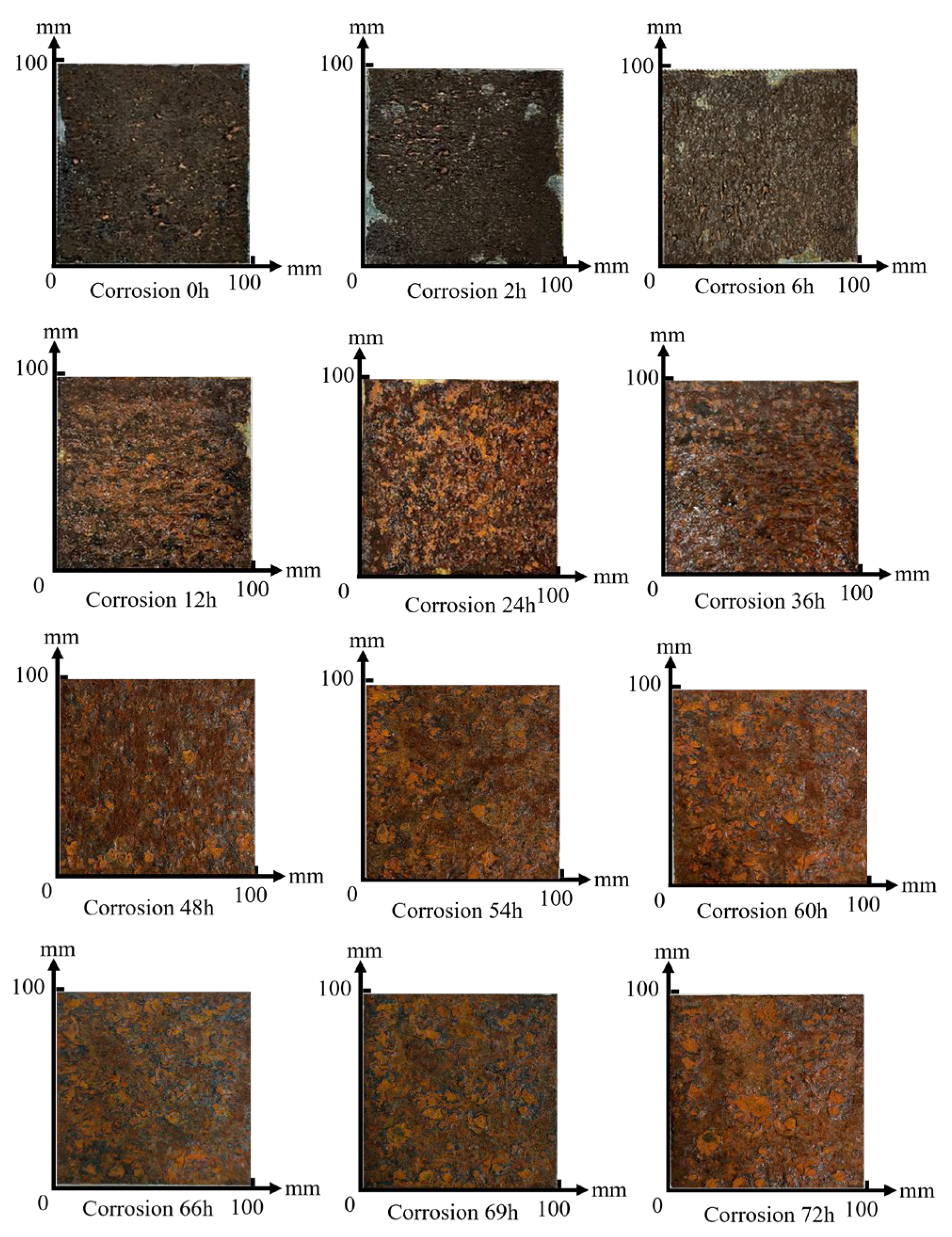 Coatings 14 01552 g003