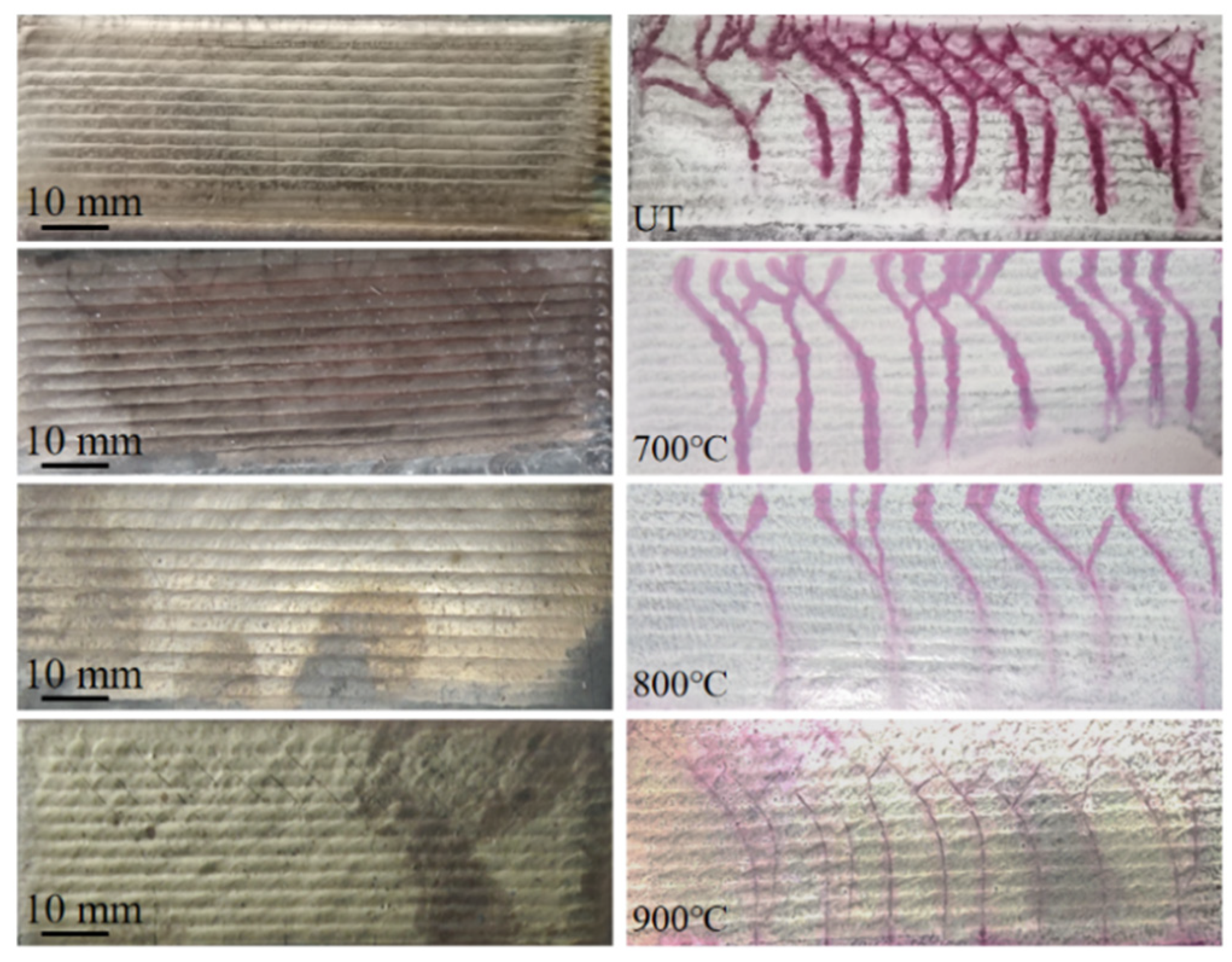 Coatings 14 01557 g002 Coatings 14 01557 g002