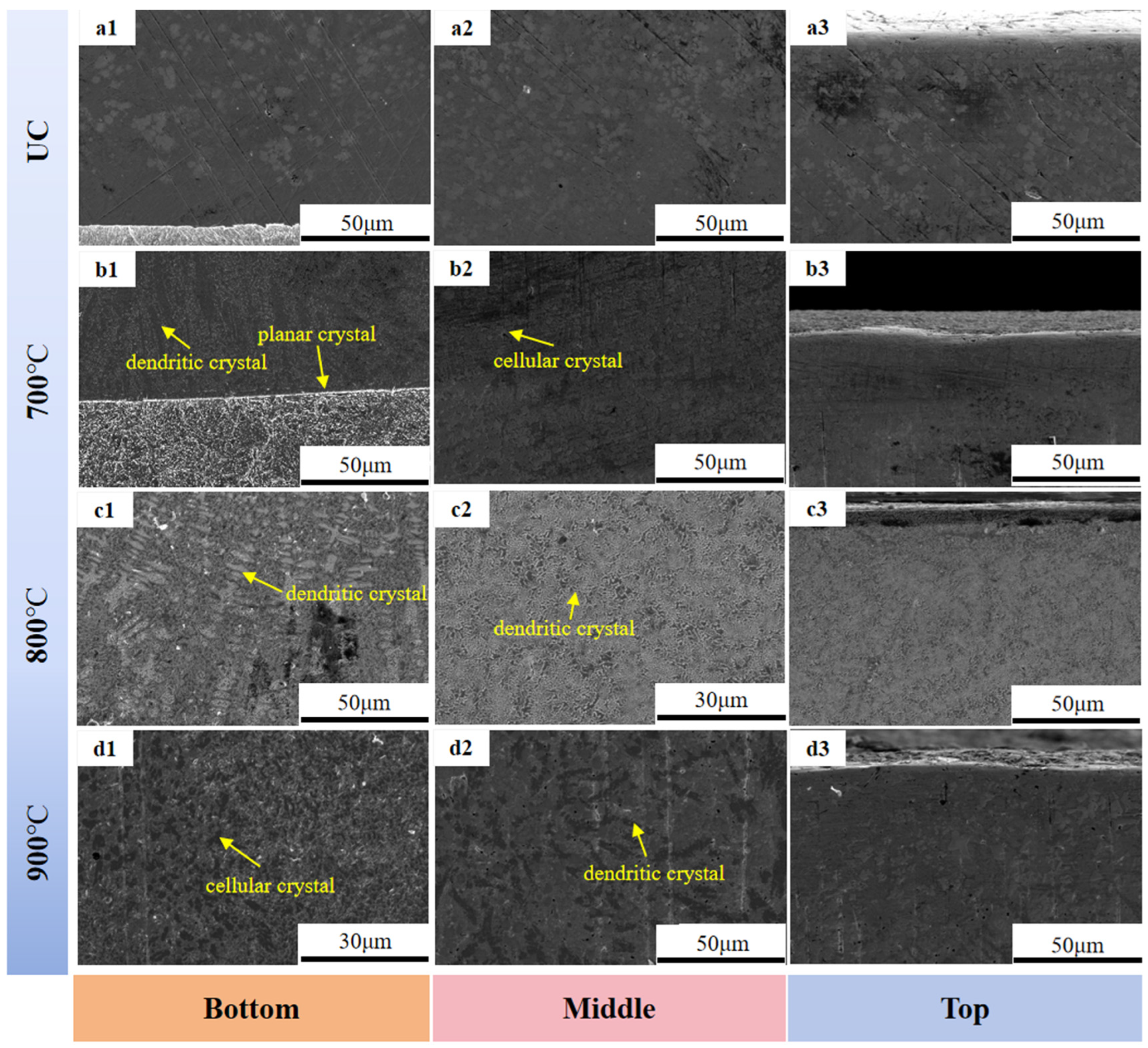 Coatings 14 01557 g003 Coatings 14 01557 g003