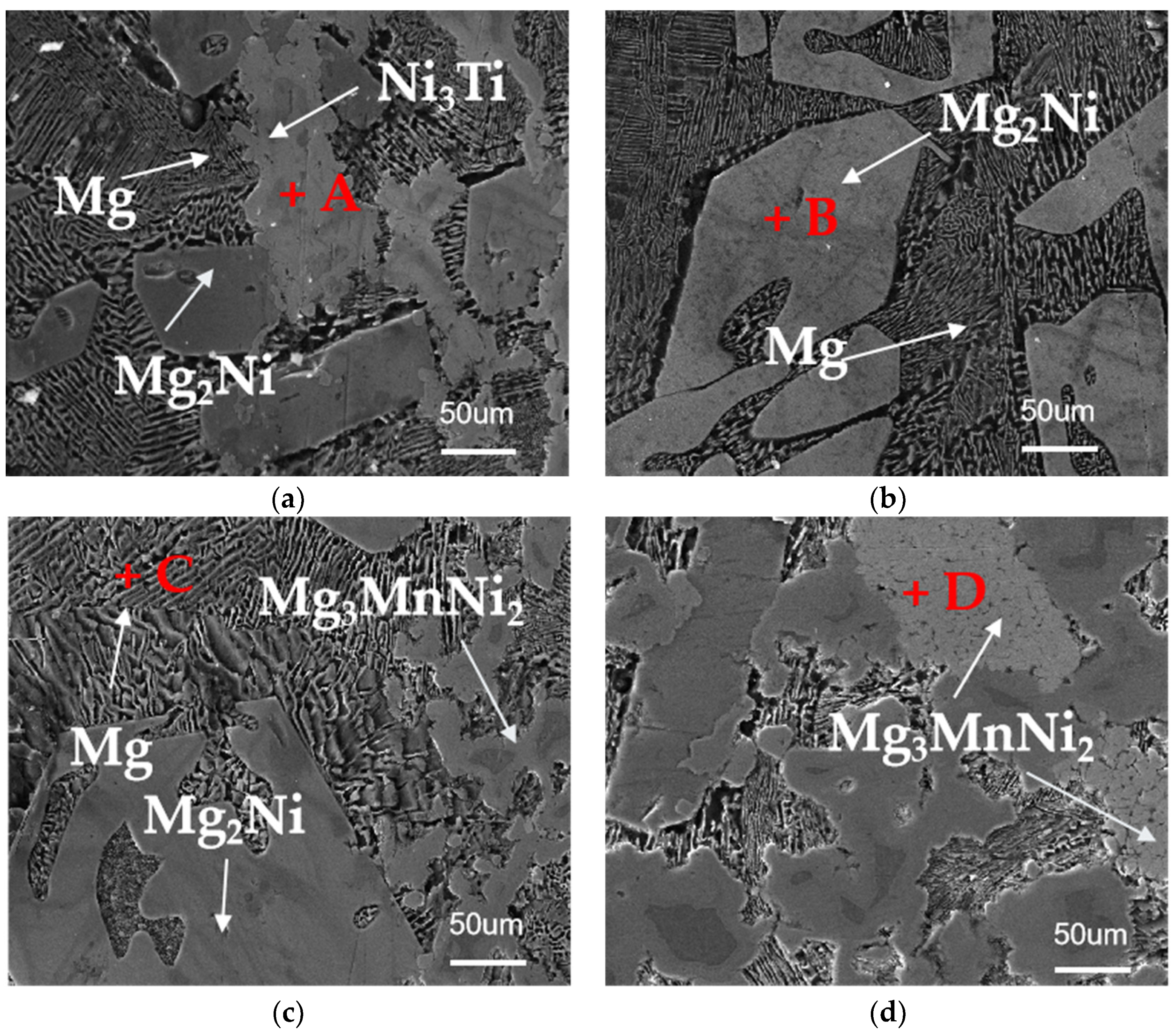 Coatings 14 01558 g002