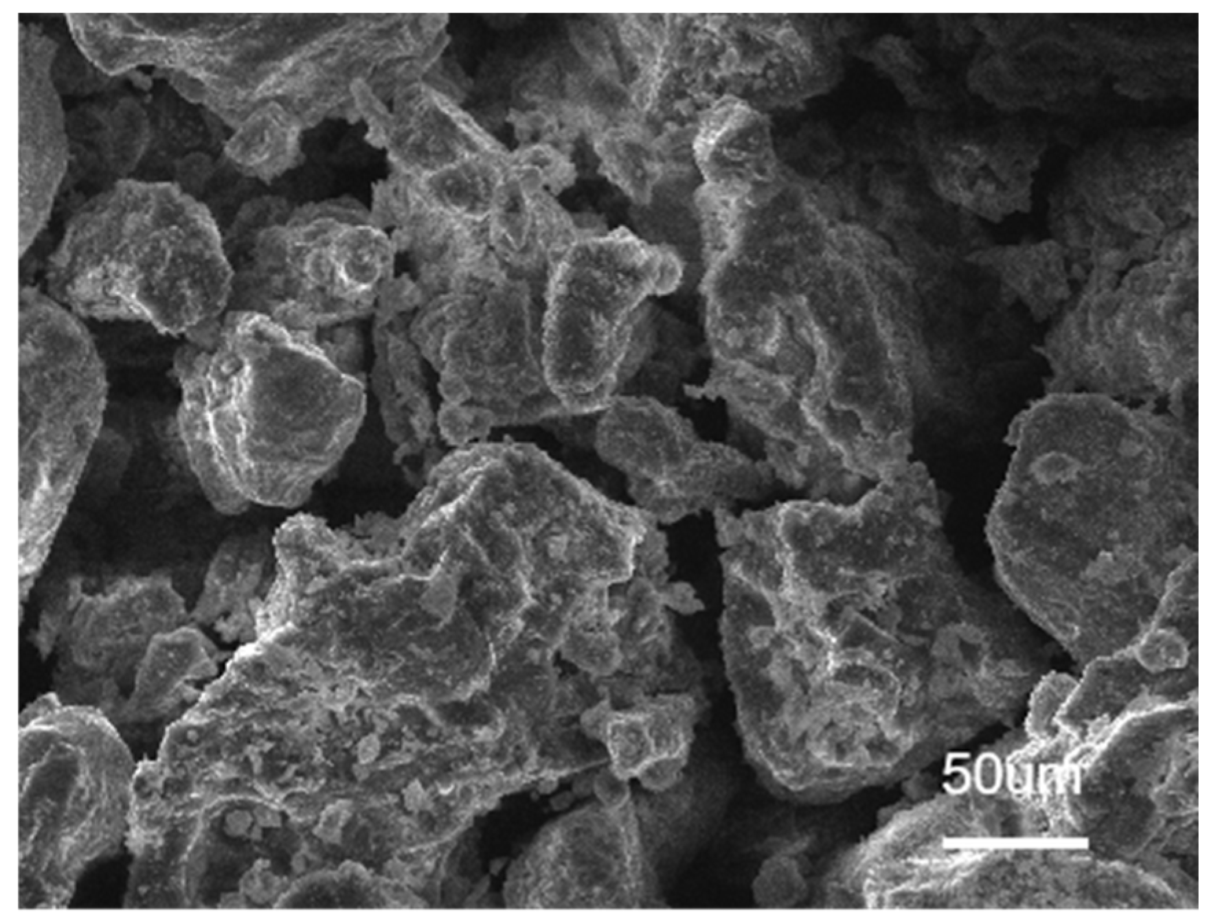 Coatings 14 01558 g007