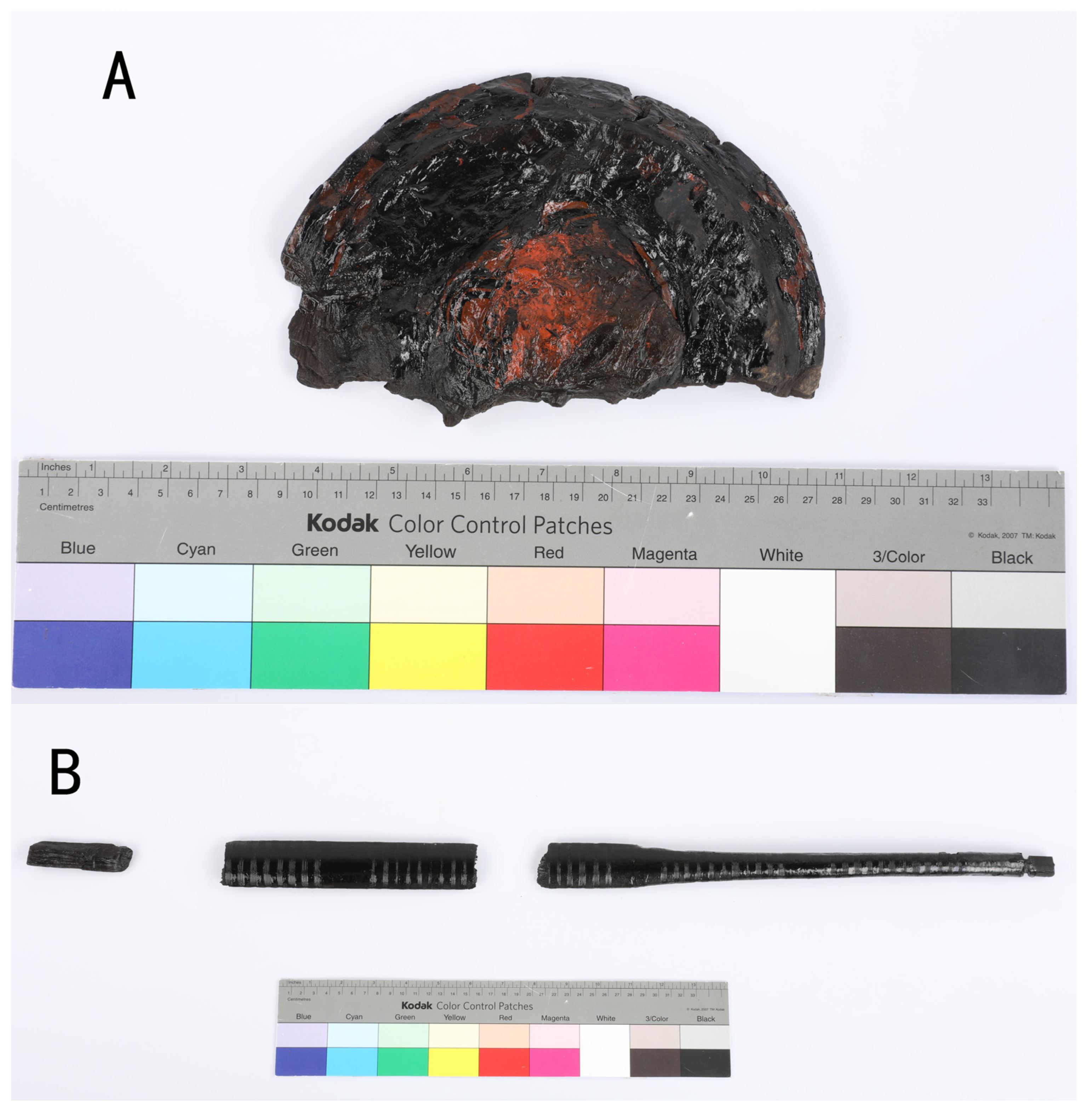 Coatings 14 01559 g002a