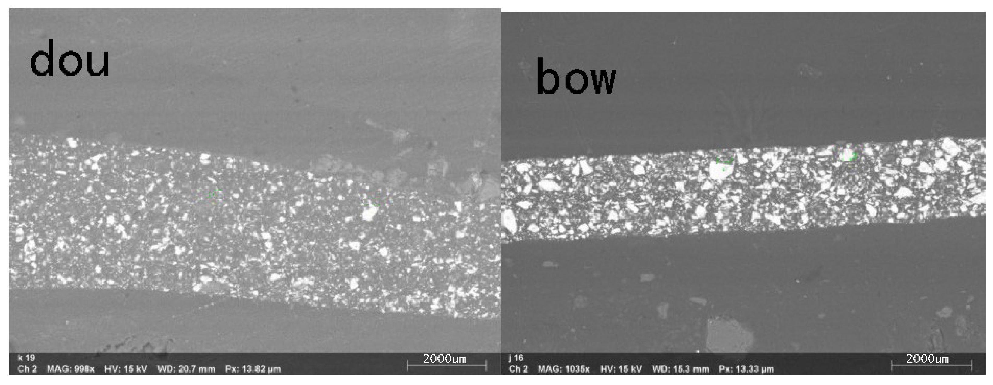 Coatings 14 01559 g006
