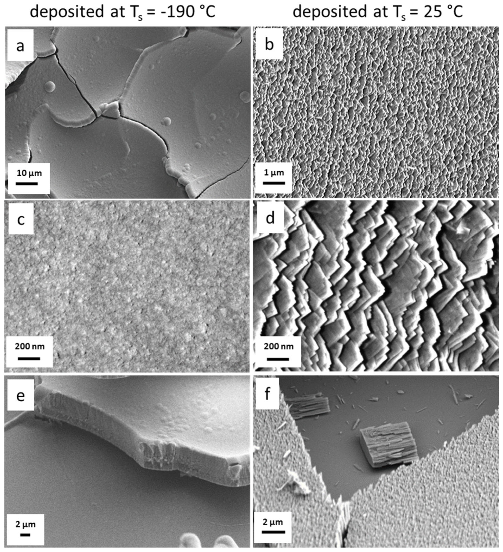 Coatings 14 01563 g001