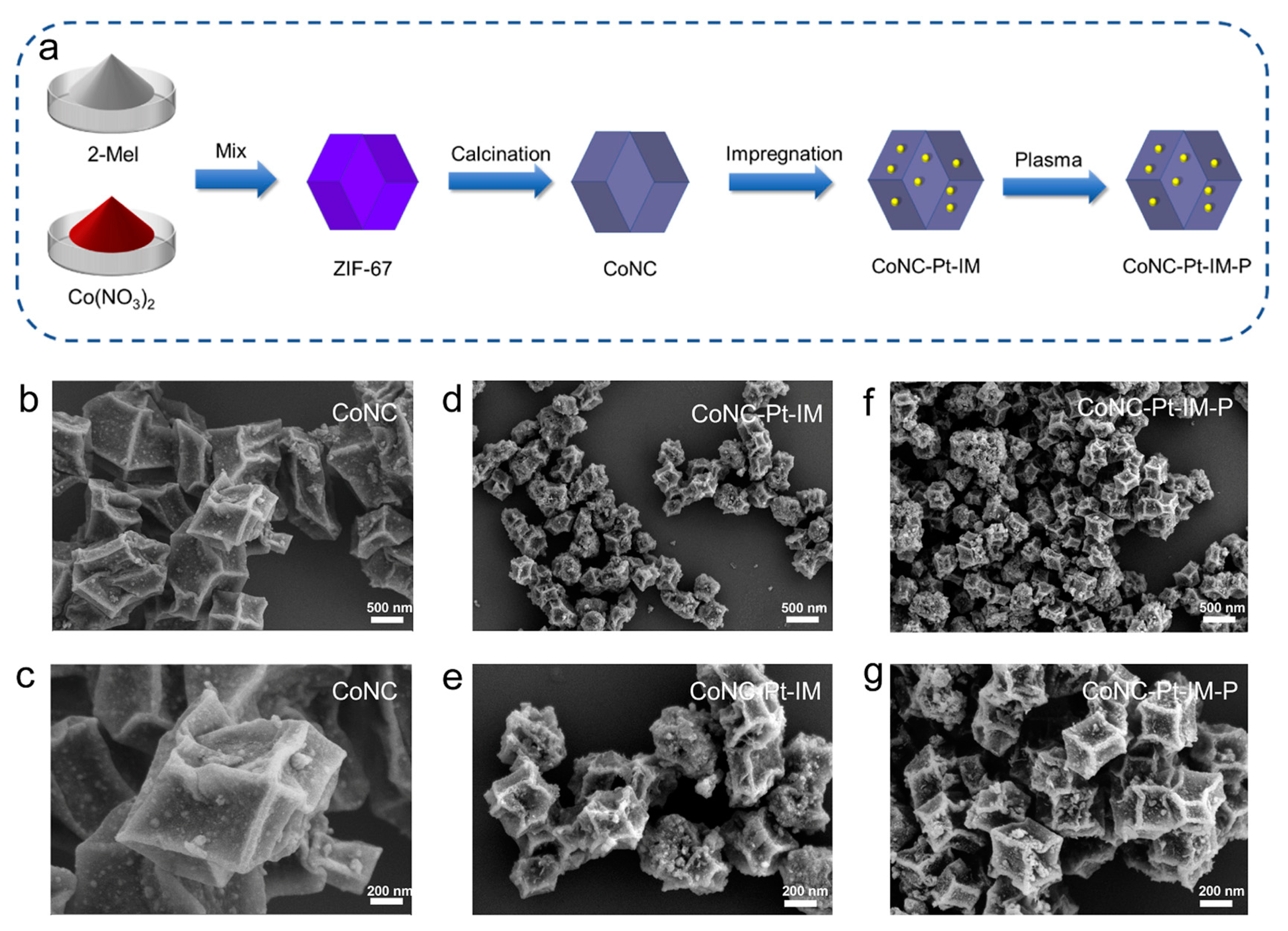 Coatings 14 01569 g001