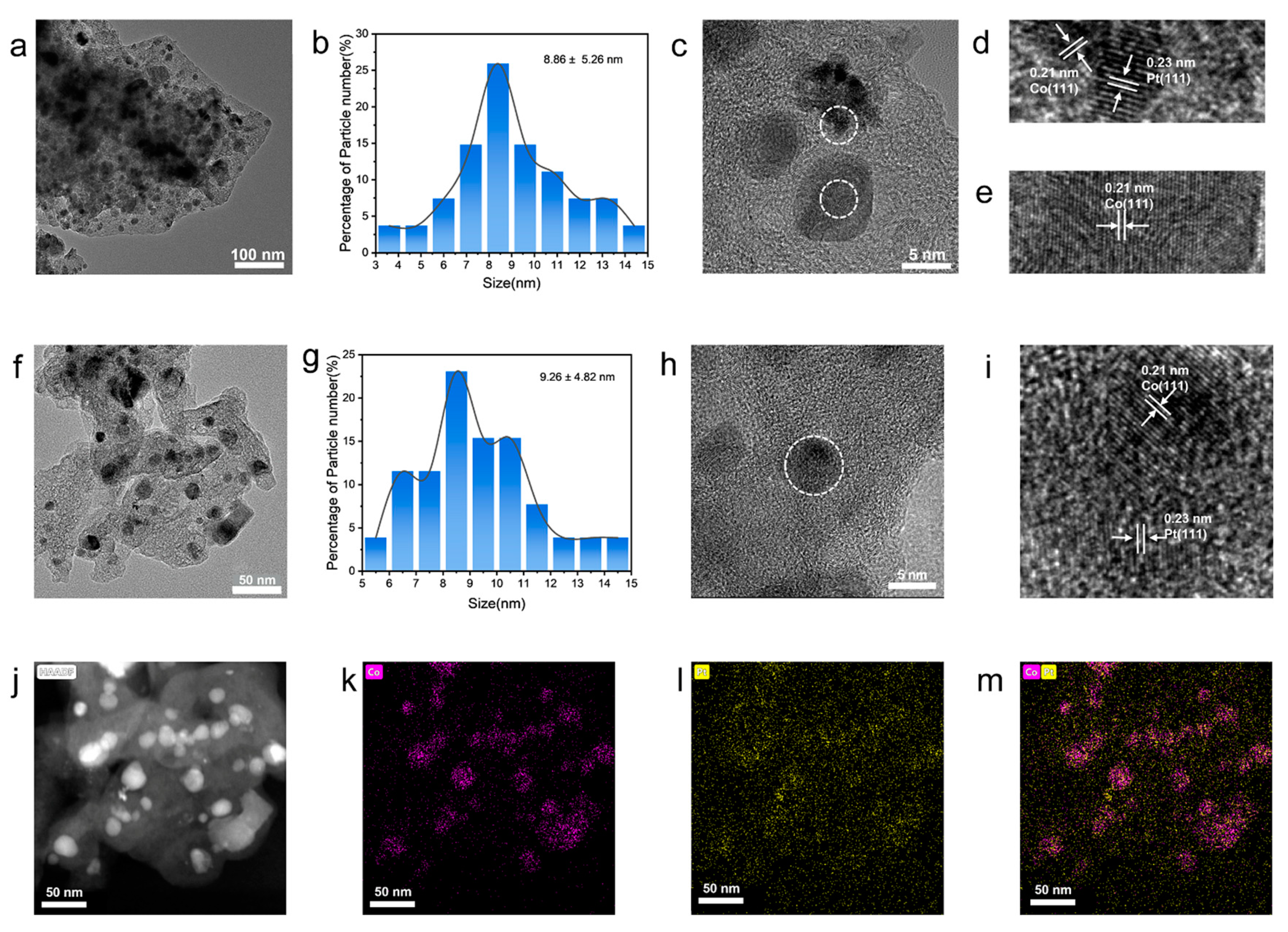 Coatings 14 01569 g002