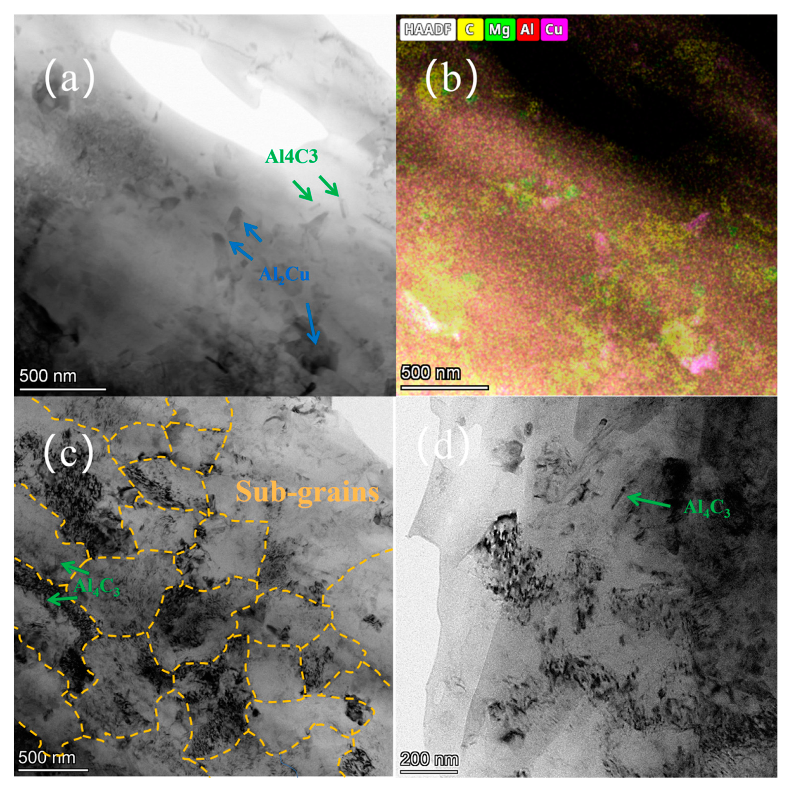 Coatings 14 01571 g010