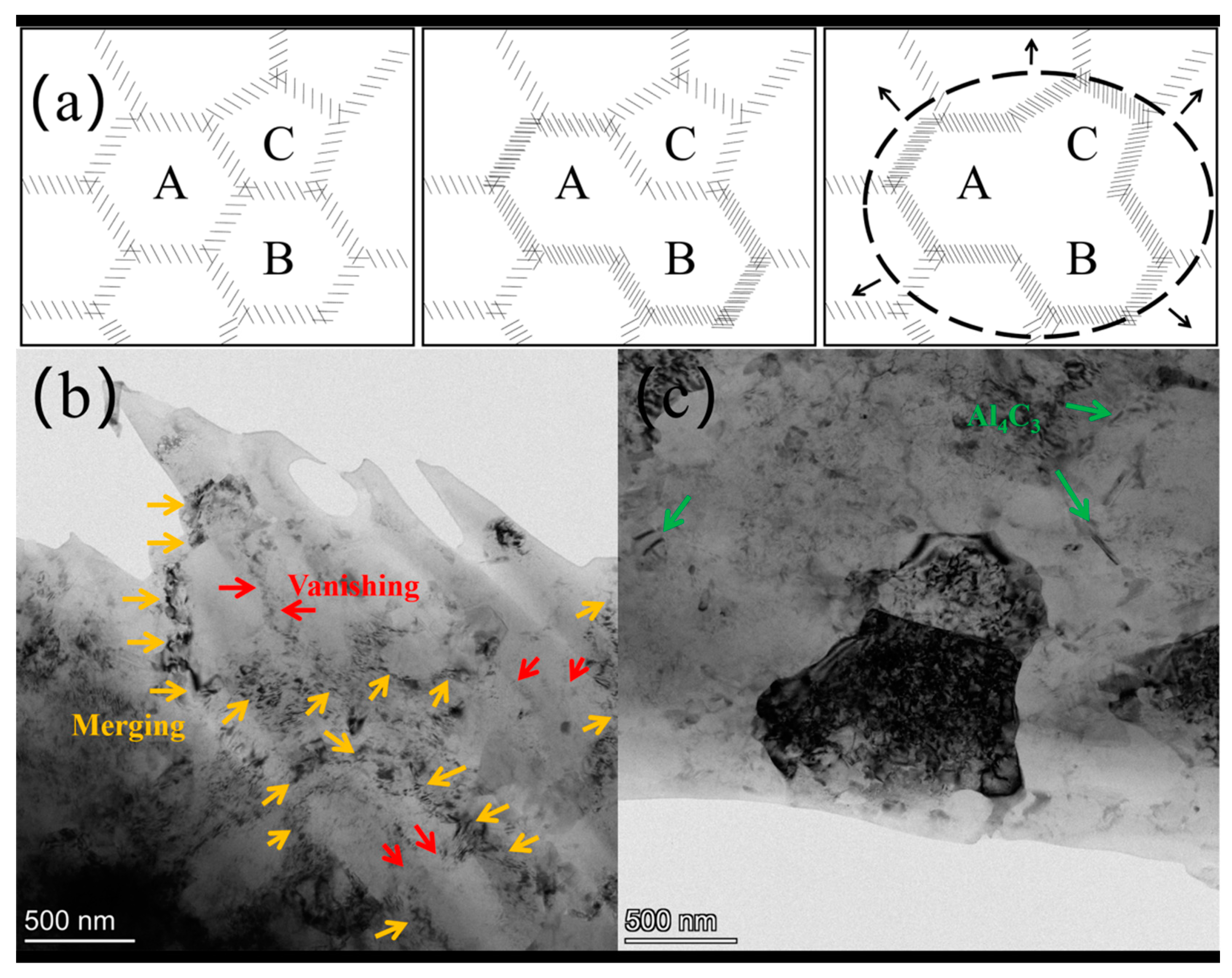 Coatings 14 01571 g011