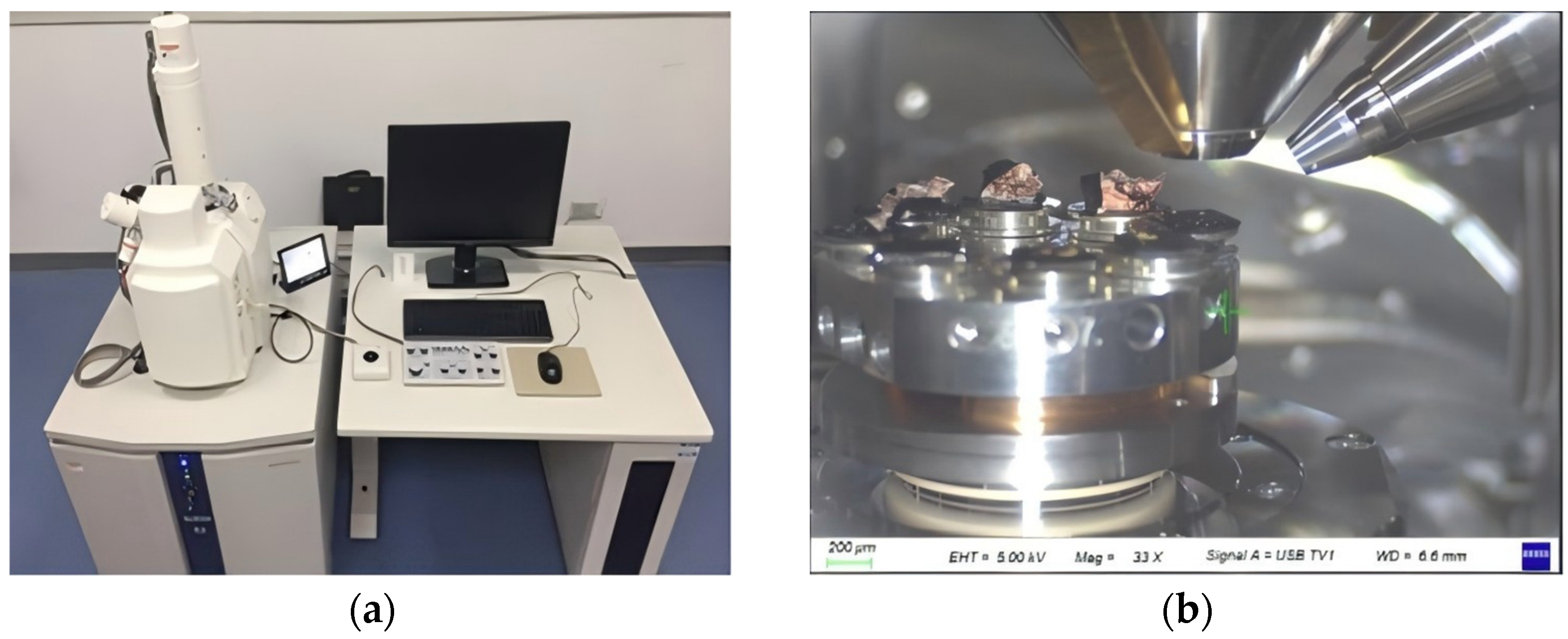 Coatings 14 01573 g002