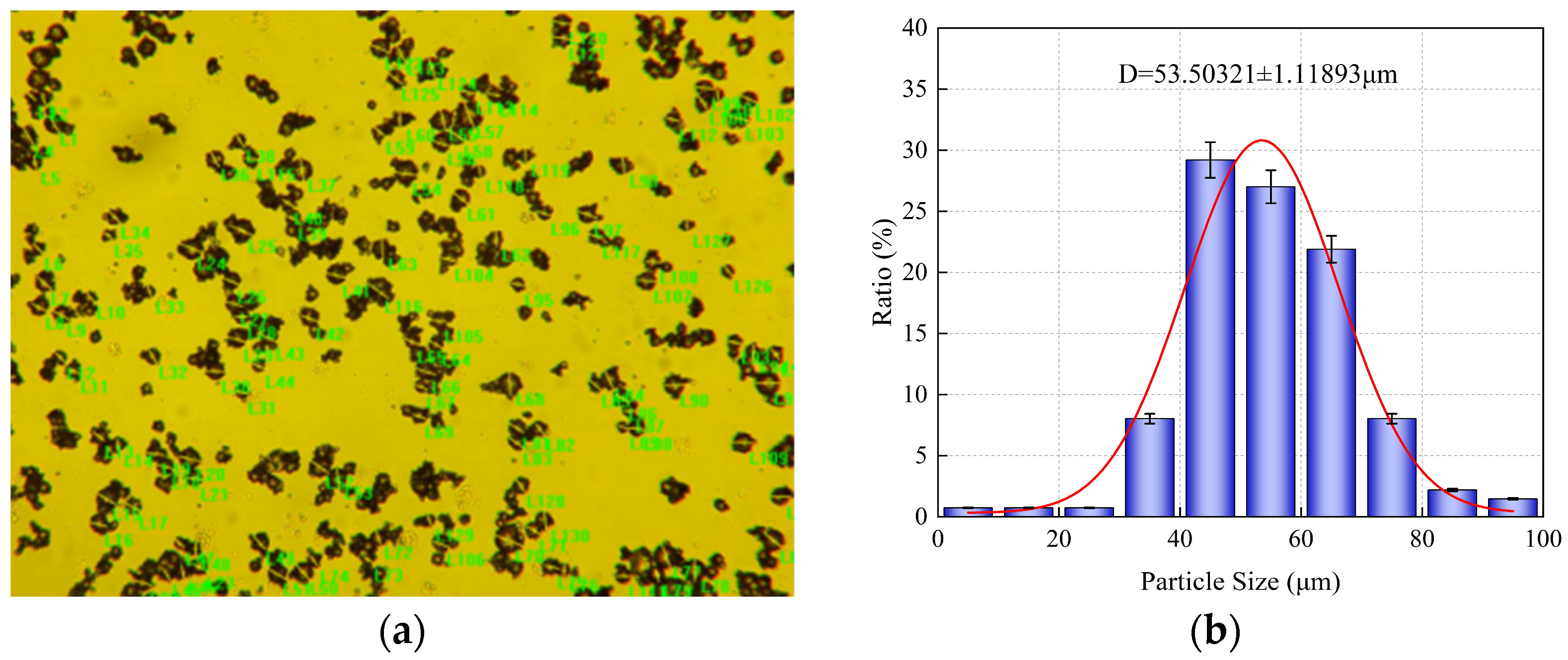 Coatings 14 01573 g005