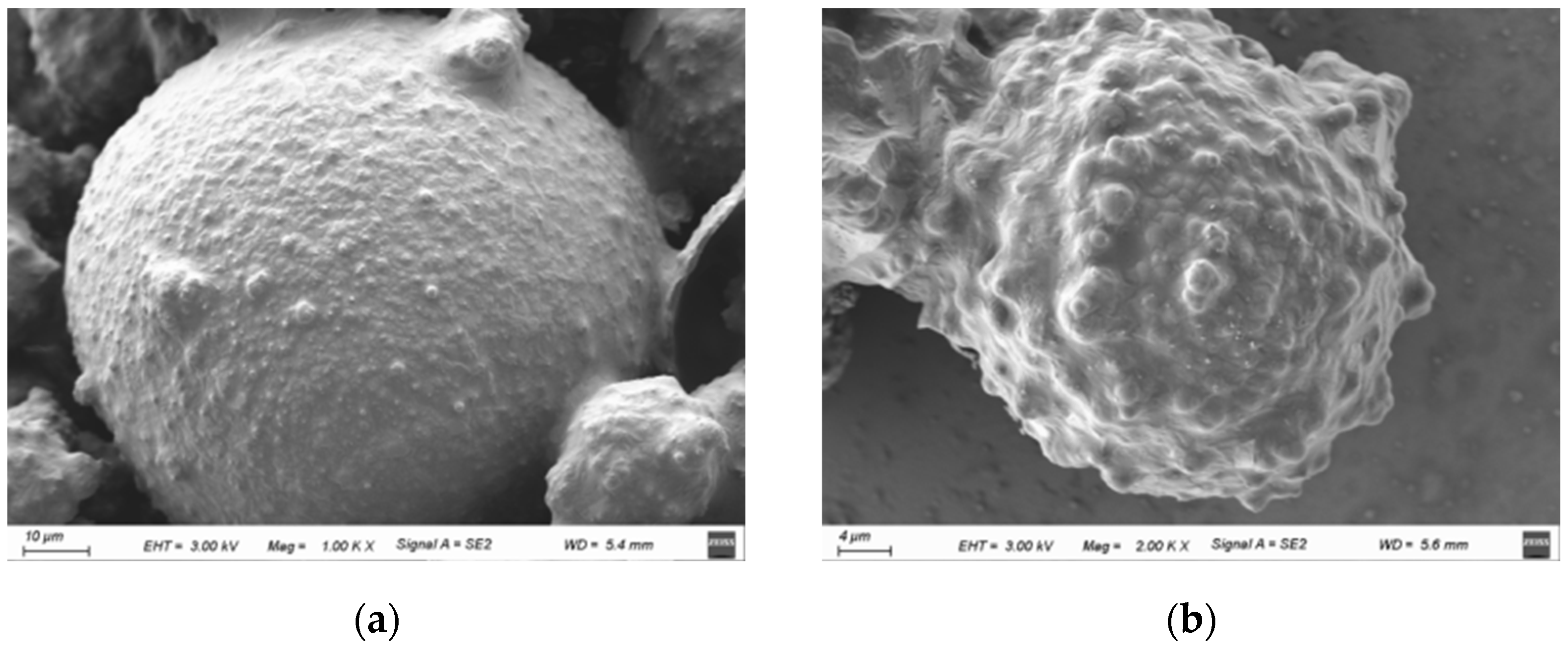 Coatings 14 01573 g006