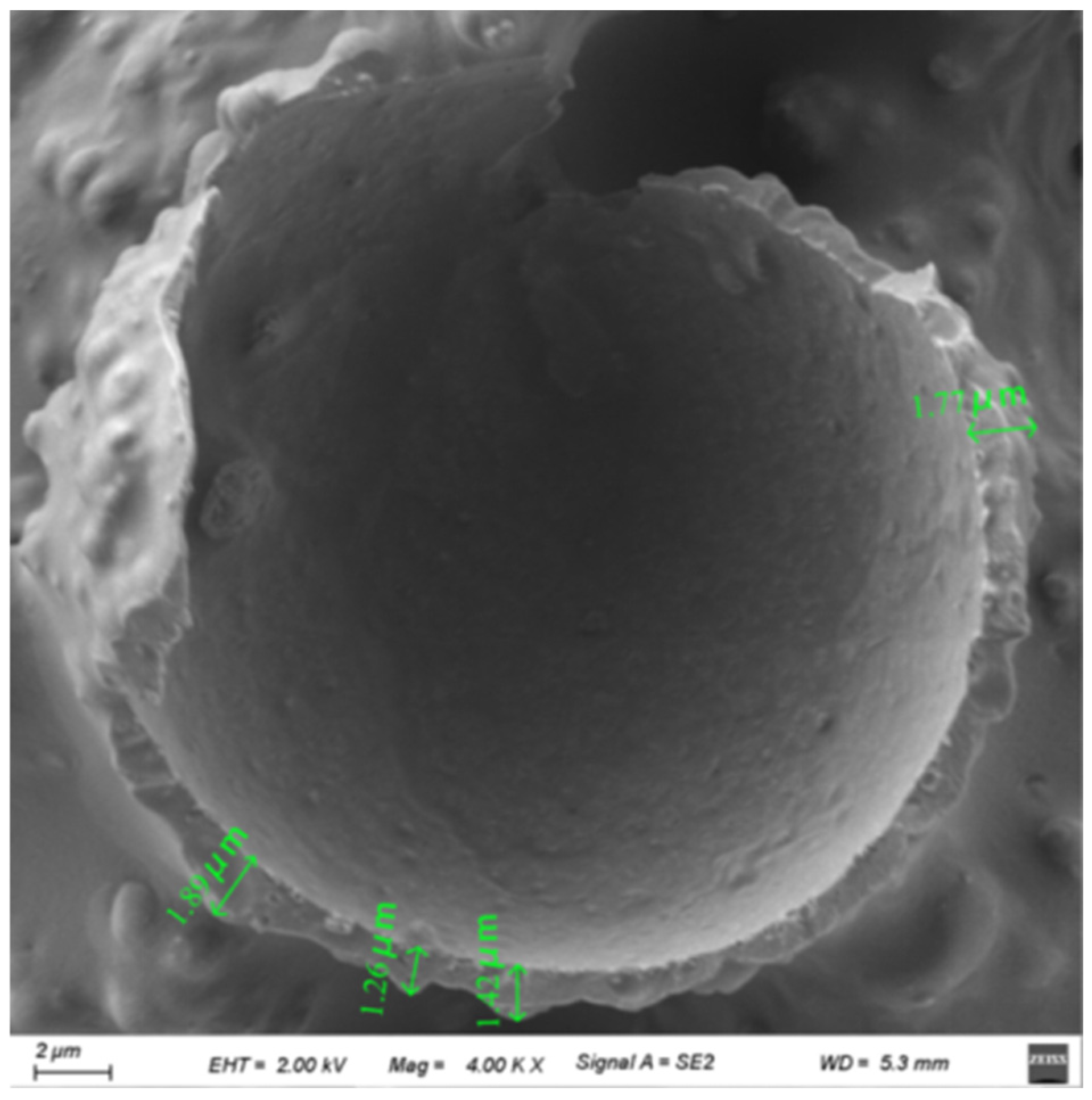 Coatings 14 01573 g007
