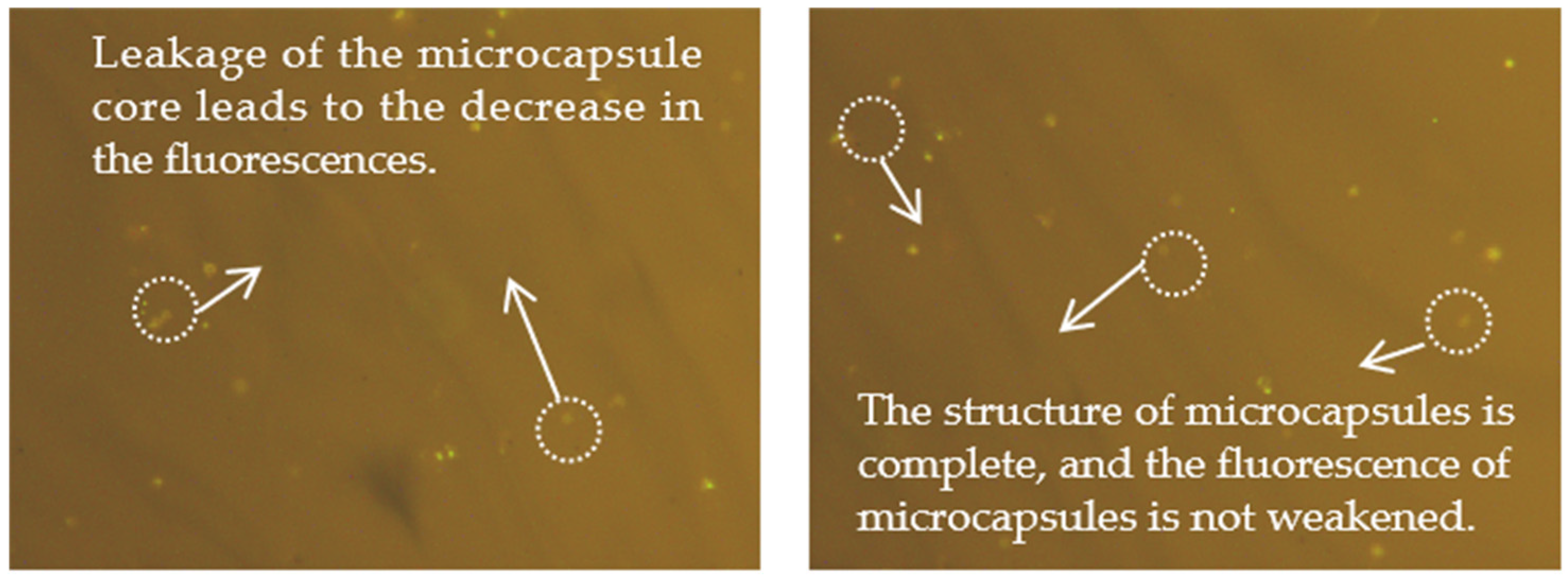 Coatings 14 01573 g011