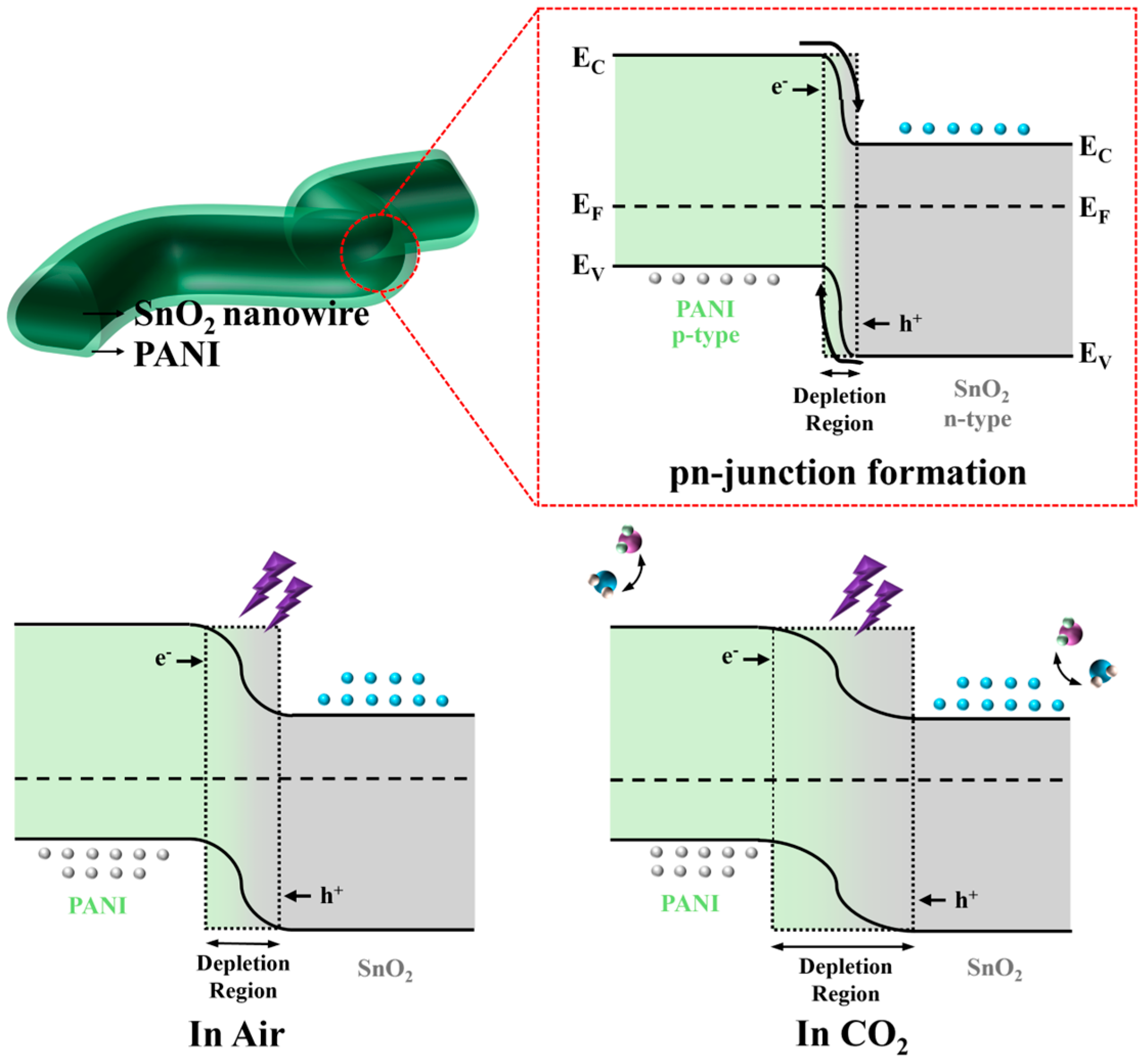 Coatings 14 01590 g006