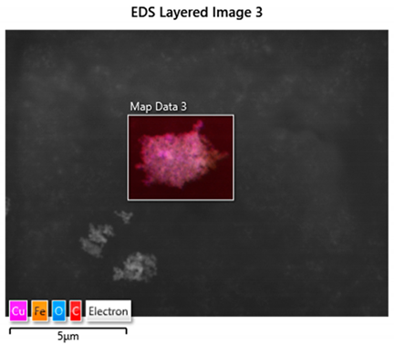 Coatings 14 01595 i010