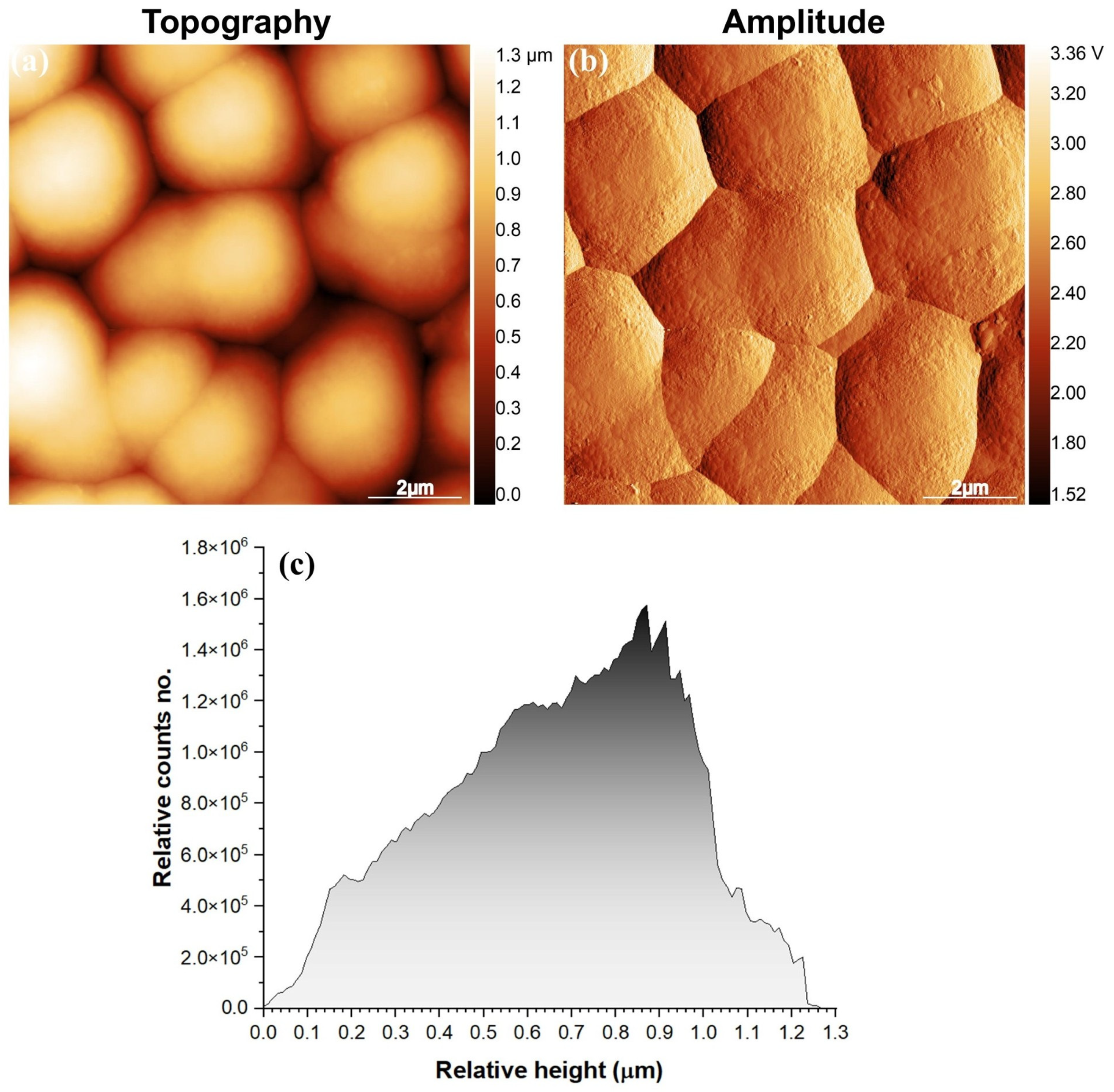 Coatings 14 01597 g004 Coatings 14 01597 g004