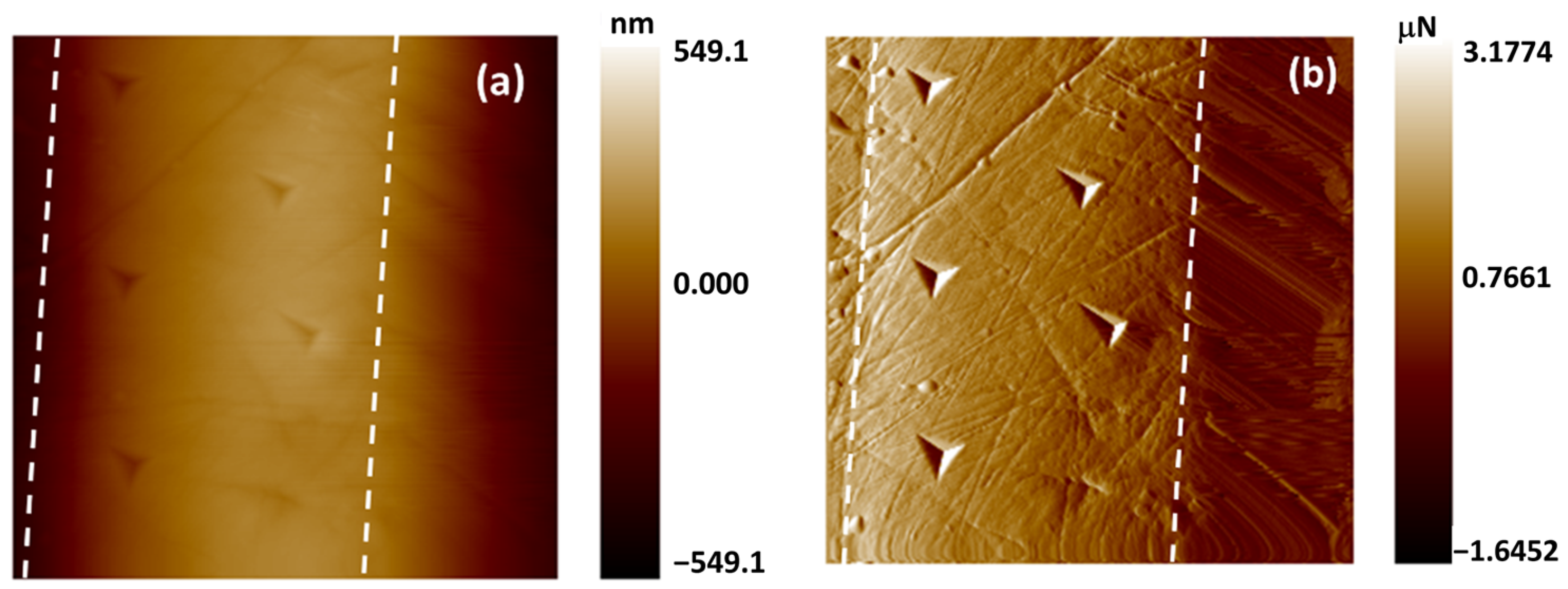 Coatings 14 01597 g009 Coatings 14 01597 g009