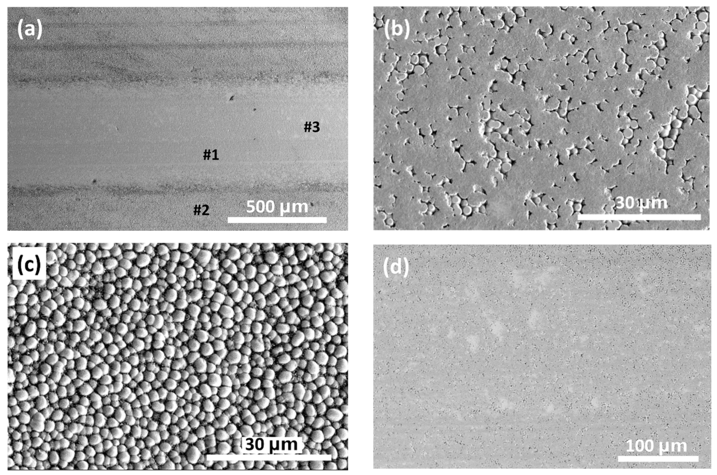 Coatings 14 01597 g017 Coatings 14 01597 g017