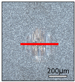 Coatings 14 01597 i003 Coatings 14 01597 i003