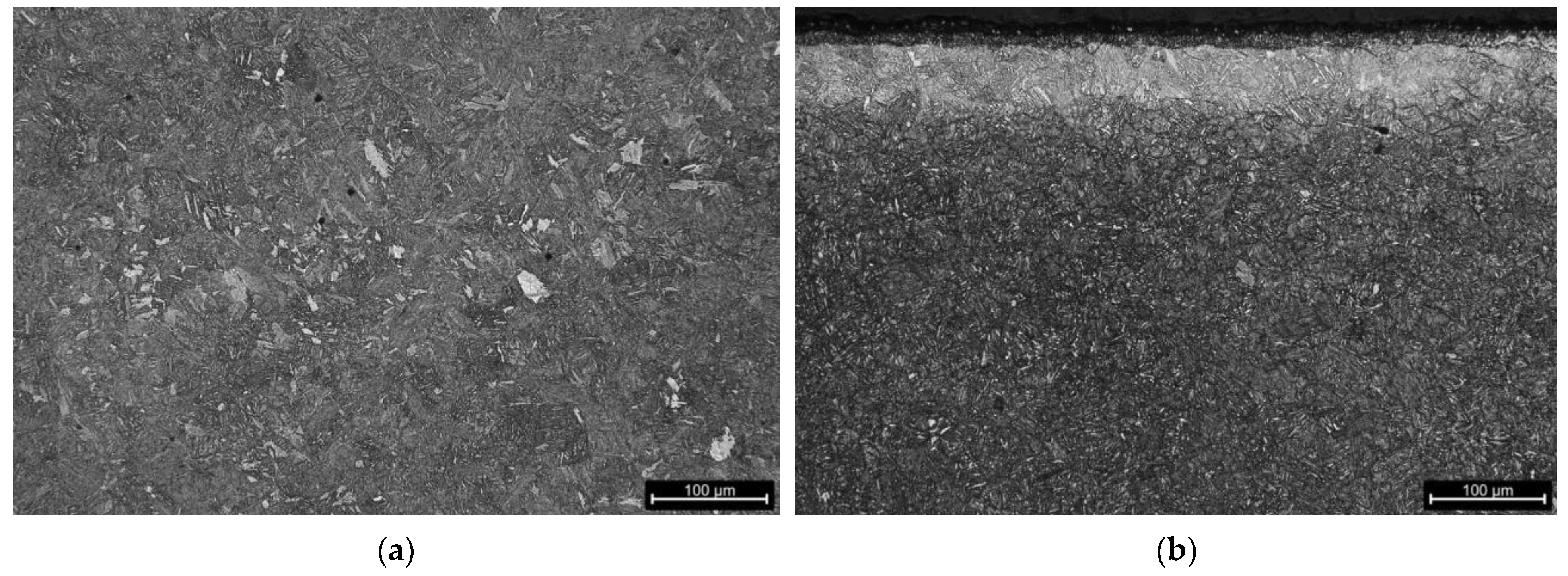 Coatings 14 01602 g008