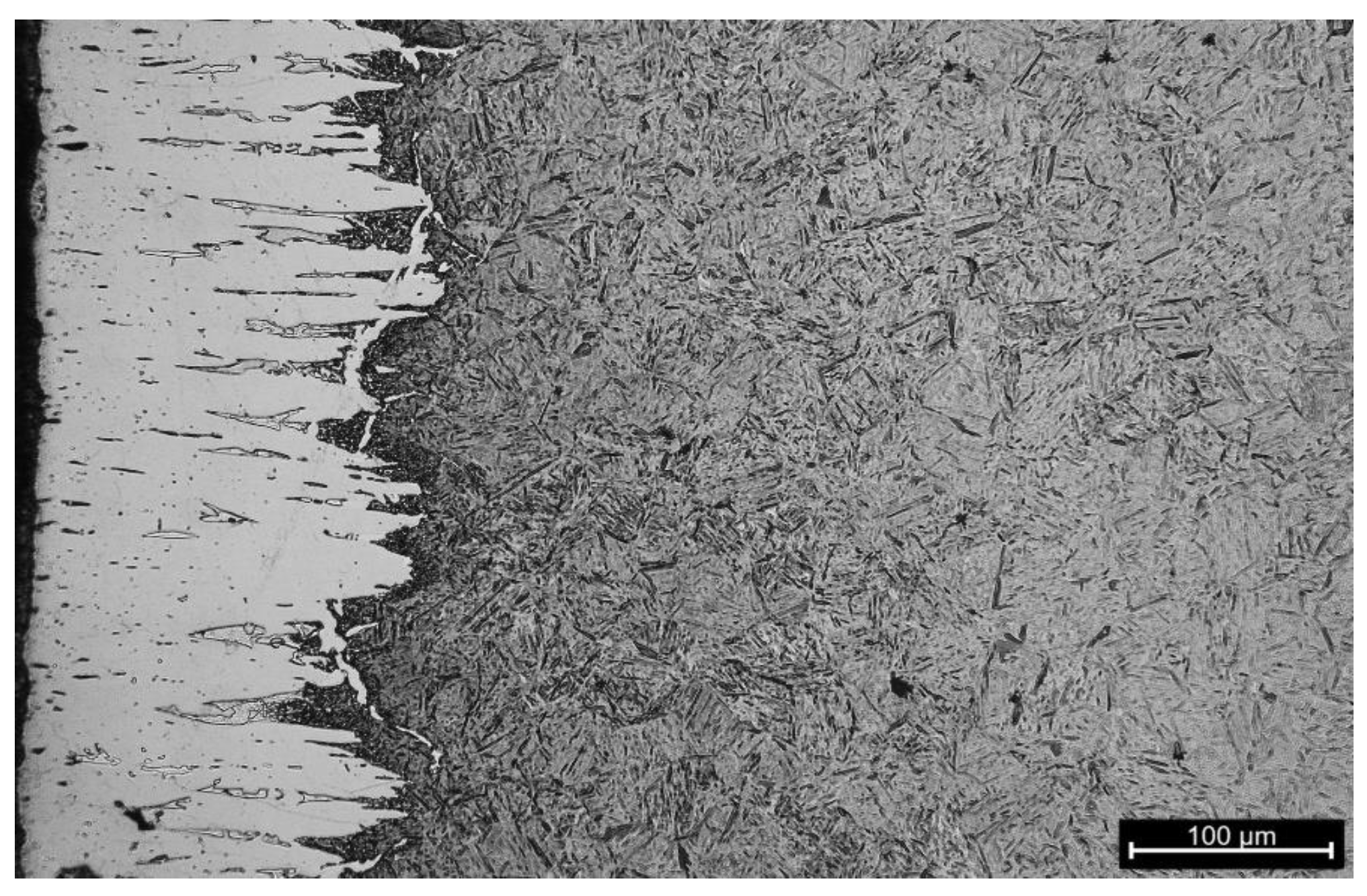 Coatings 14 01602 g012